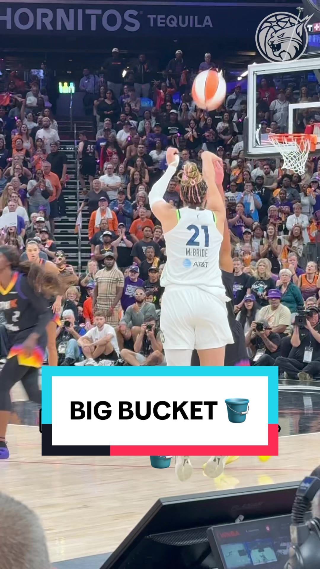 Video post by @minnesotalynx on TikTok