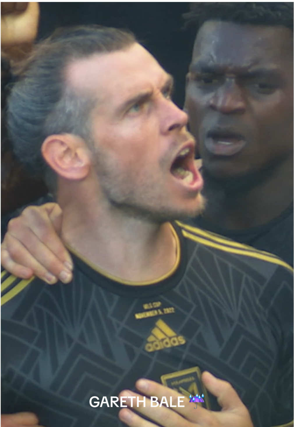 Video post by @lafc on TikTok