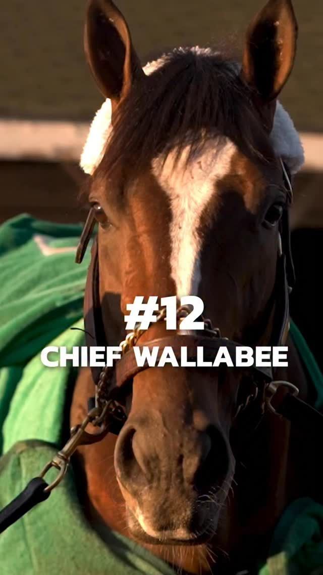 Video post by @AmericasBestRacing on Facebook