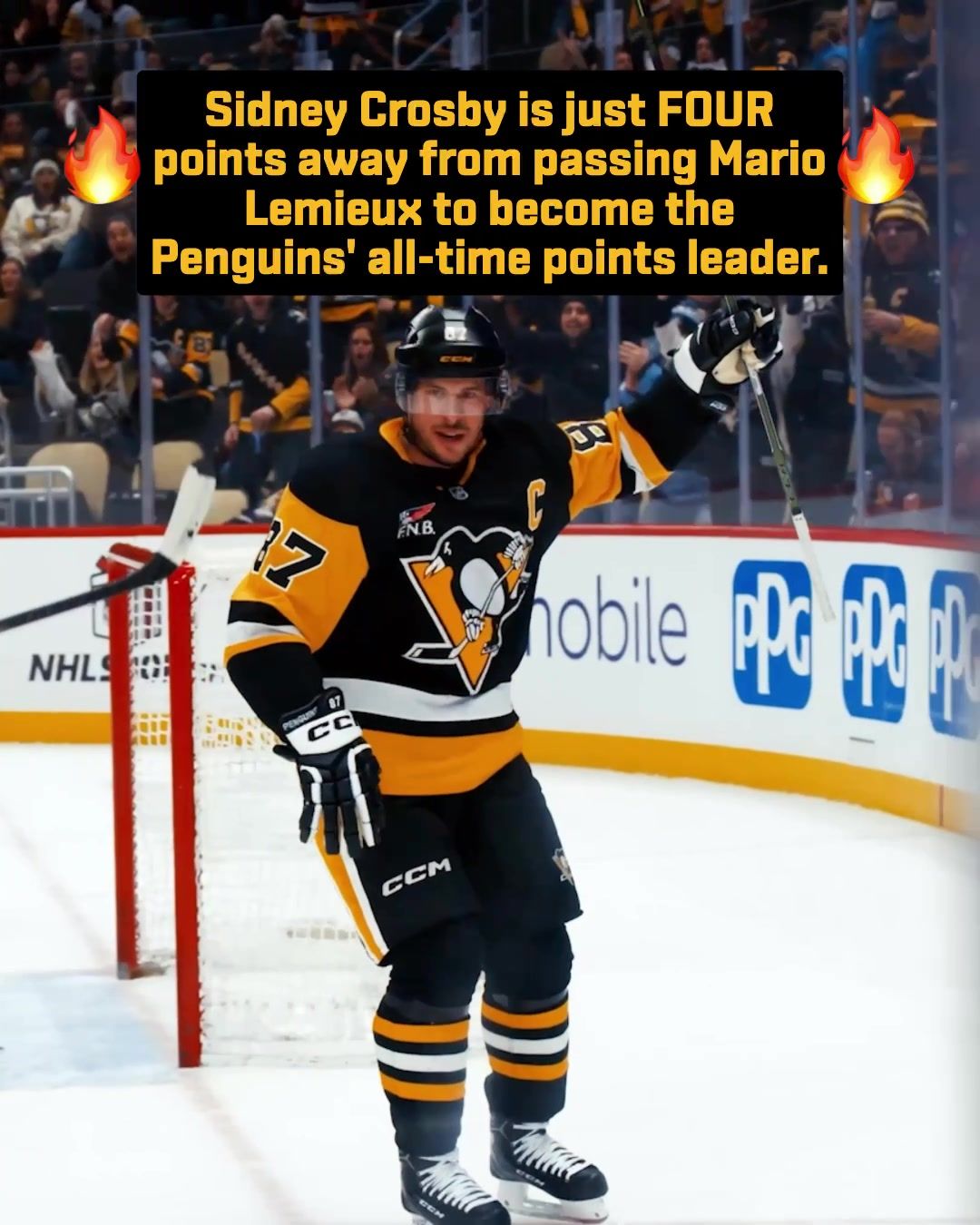 Video post by @penguins on TikTok