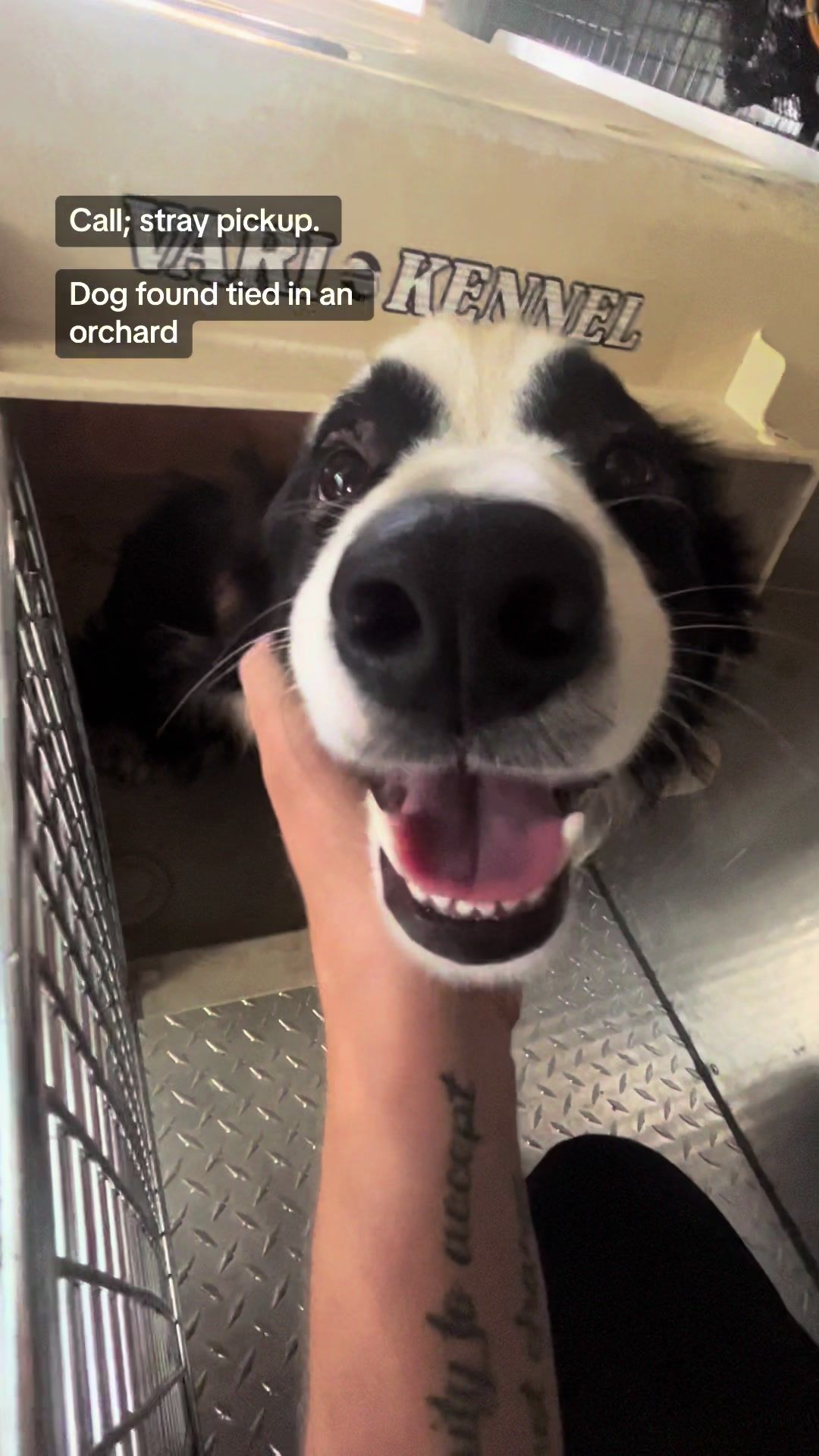 Video post by @acoalcorn on TikTok