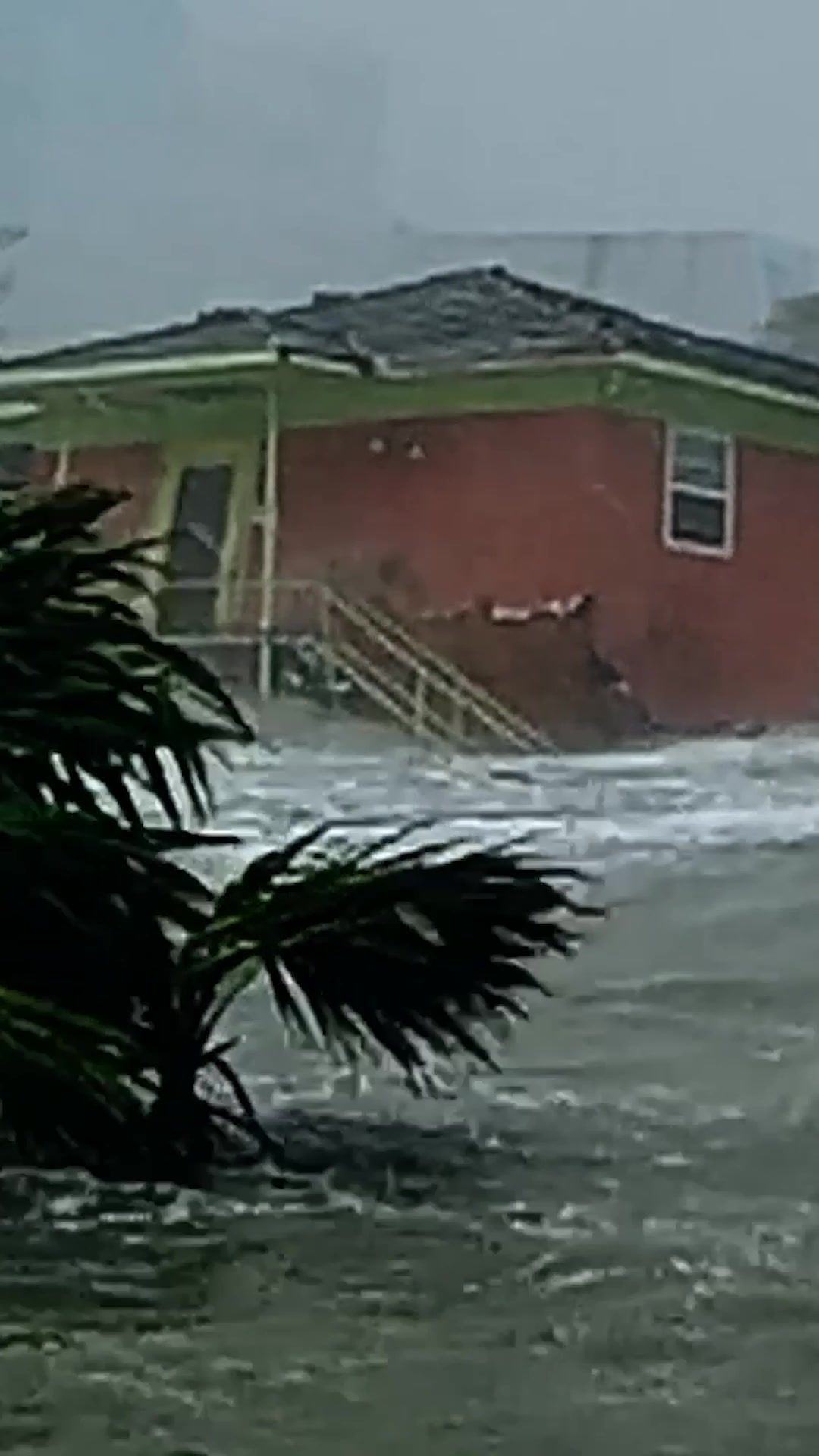 Video post by @discovery on TikTok