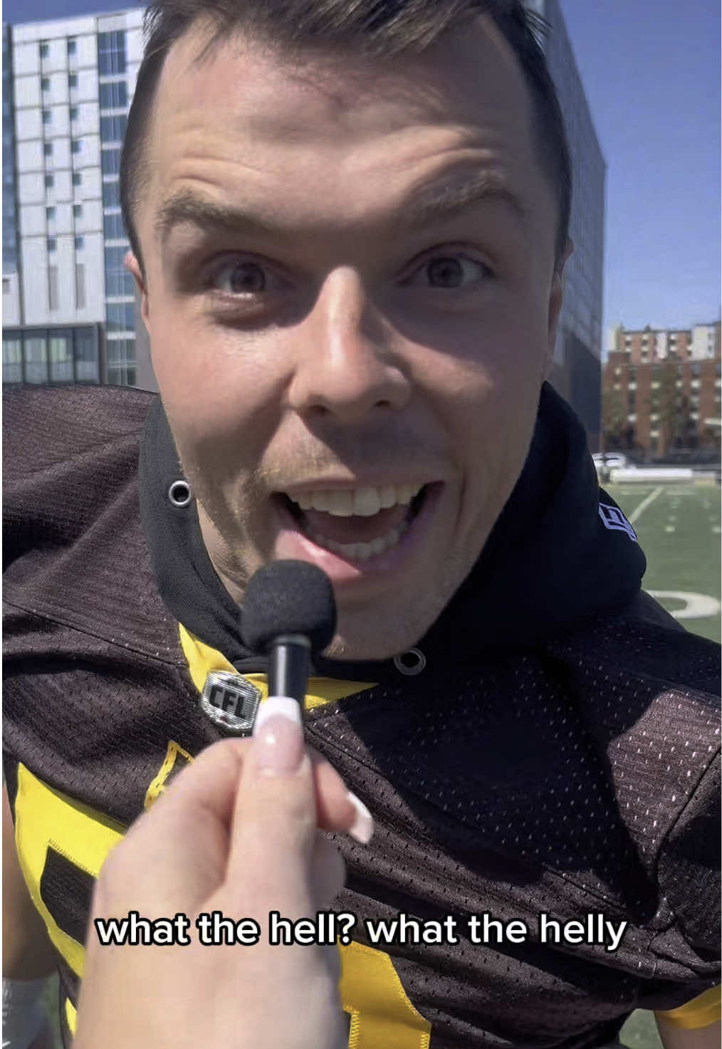 Video post by @hamiltonticats on TikTok