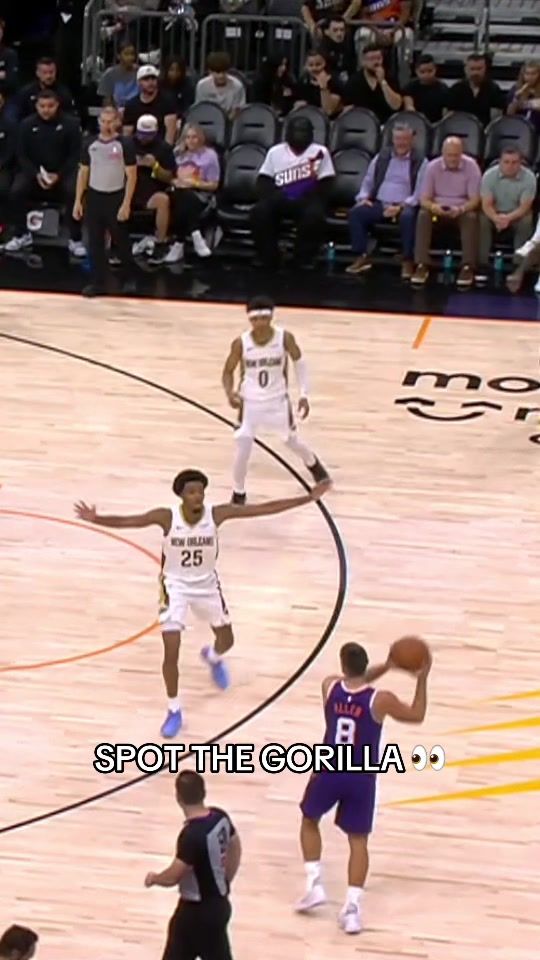 Video post by @thegorilla on TikTok