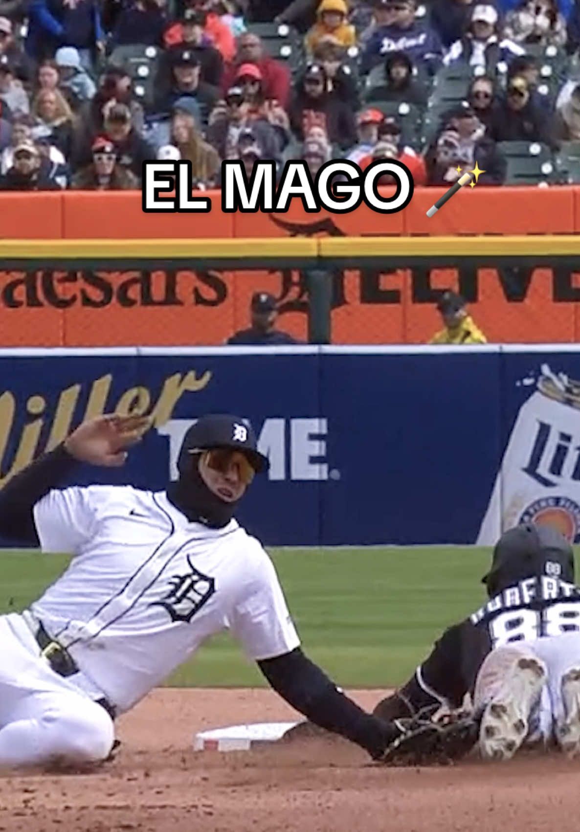 Video post by @tigers on TikTok