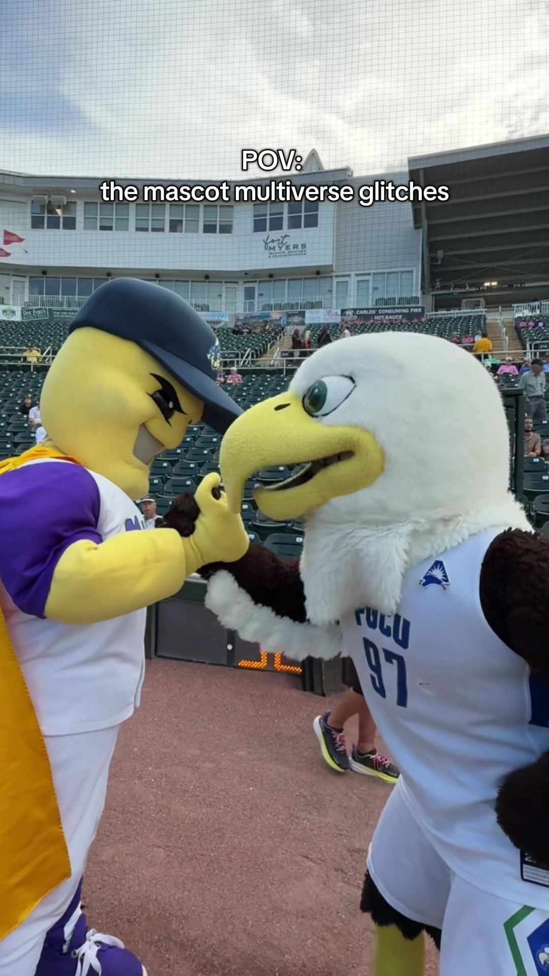 Video post by @fortmyersmightymussels on TikTok