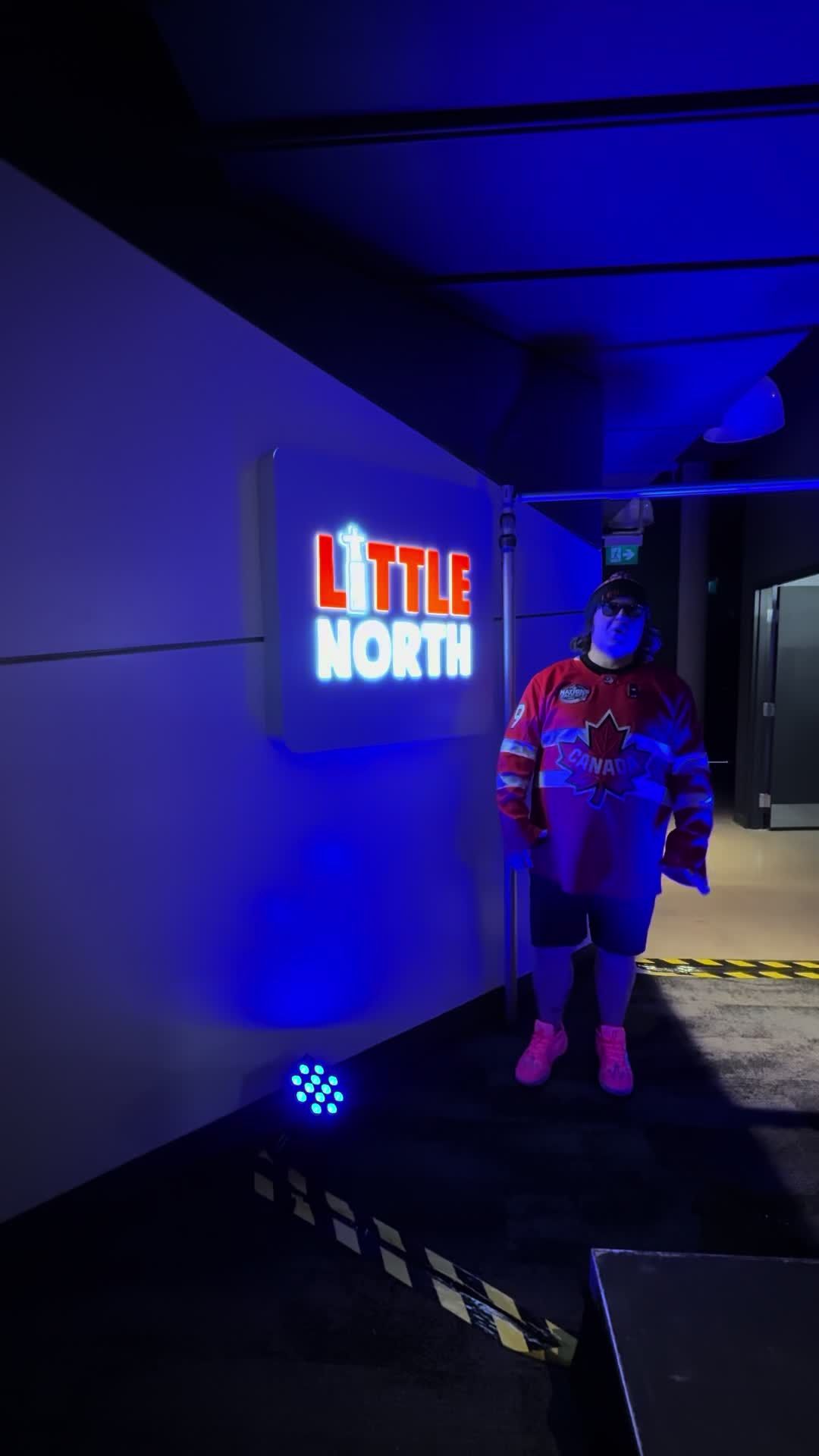 Video post by @leroyandleroy on TikTok