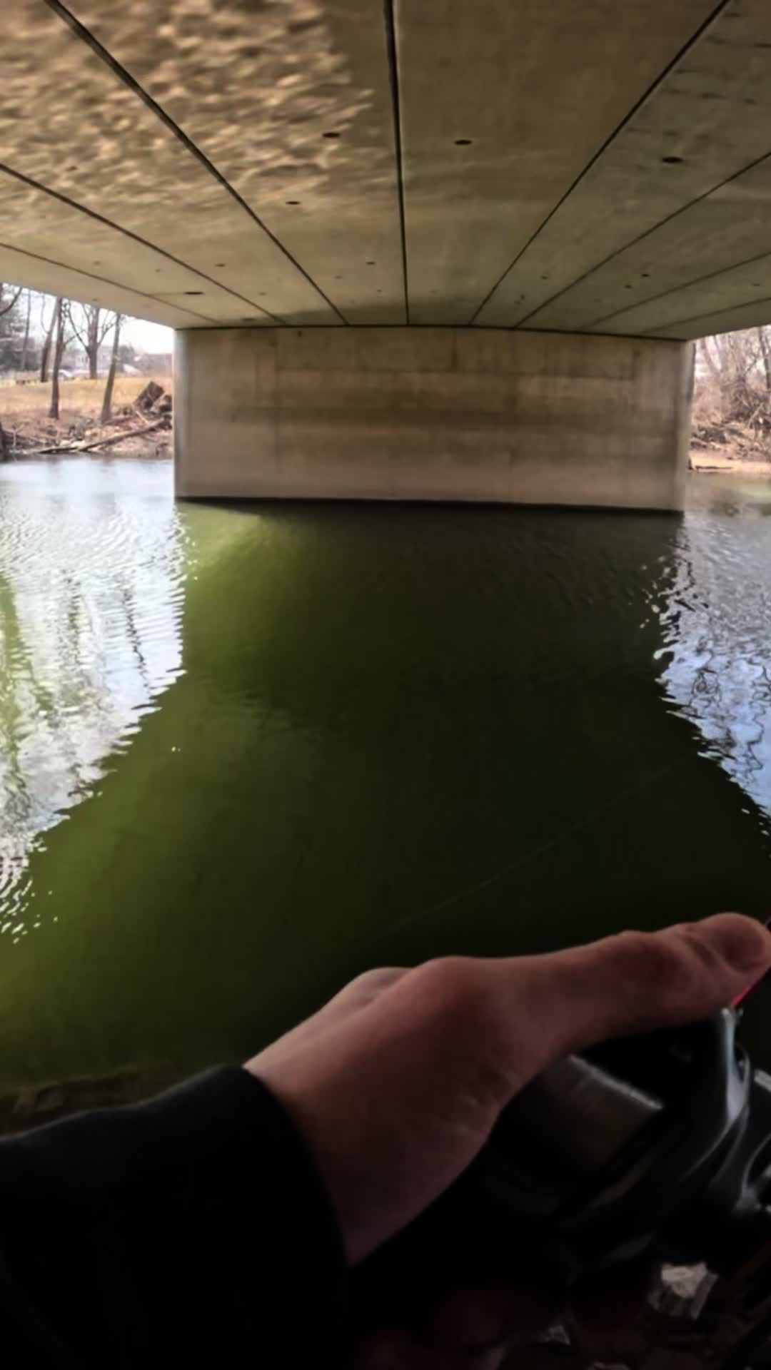 Video post by @slimfishes on TikTok