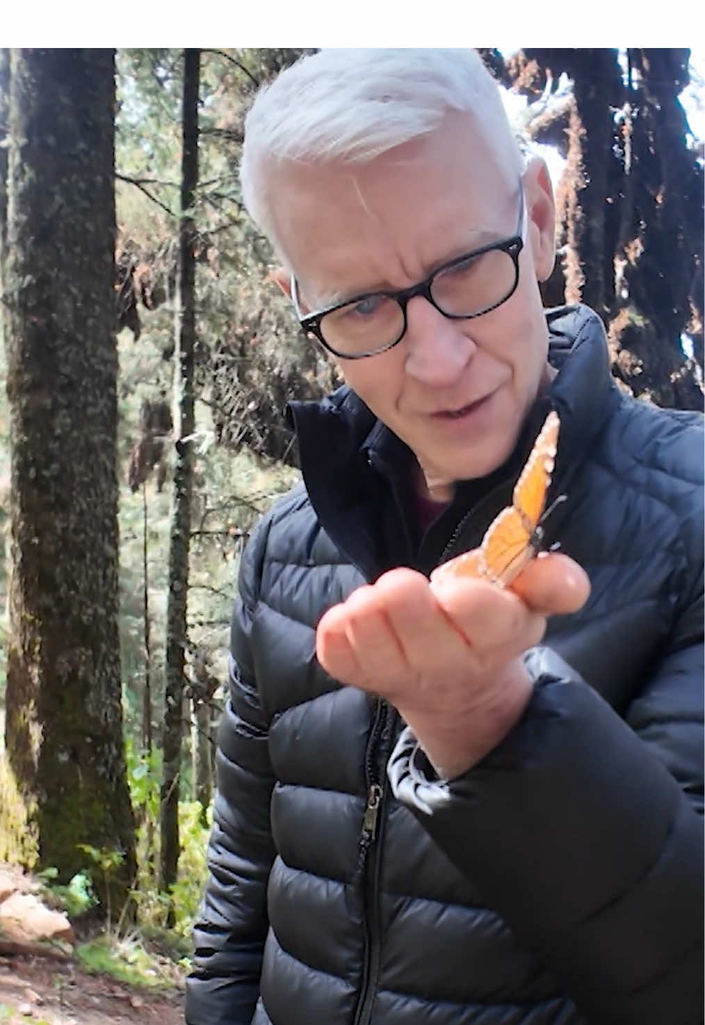 Video post by @60minutes on TikTok