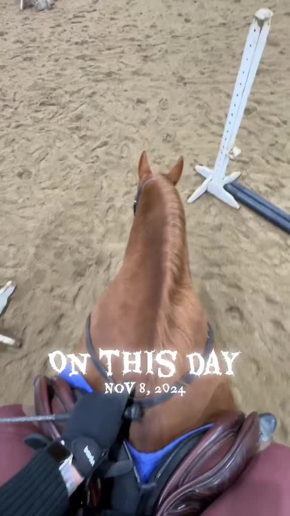 Video post by @kate.cassaidy on TikTok