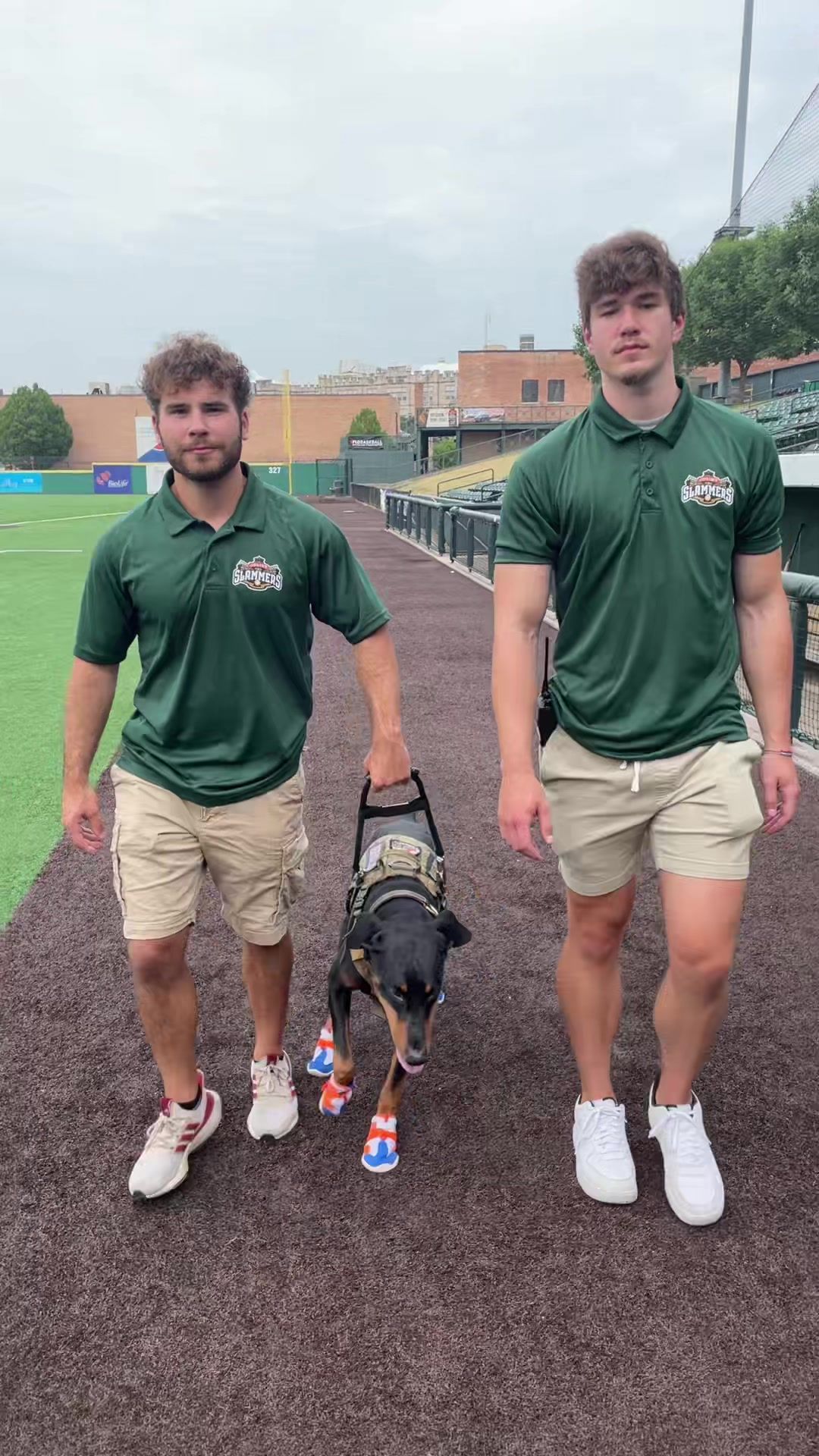Video post by @thejolietslammers on TikTok