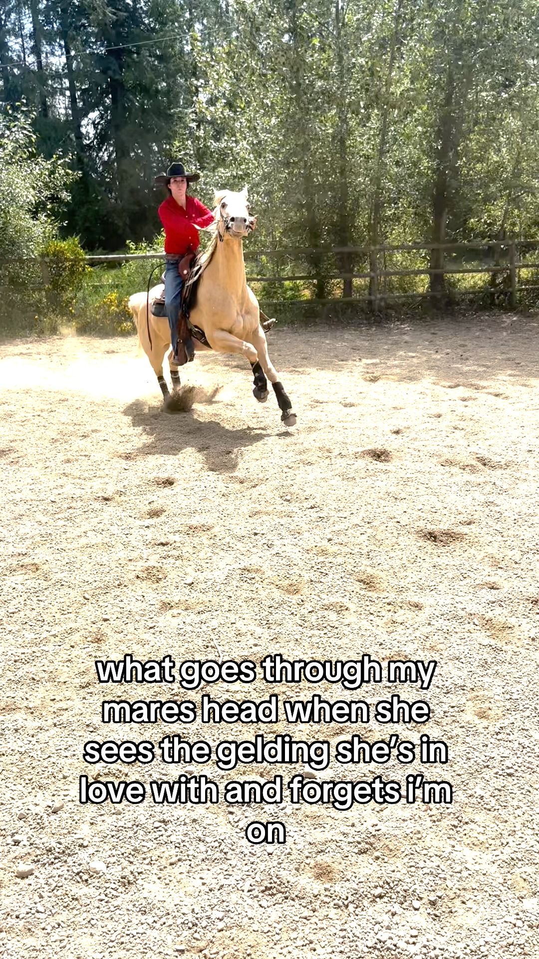 Image post by @Rodeo Girlies Club on Facebook