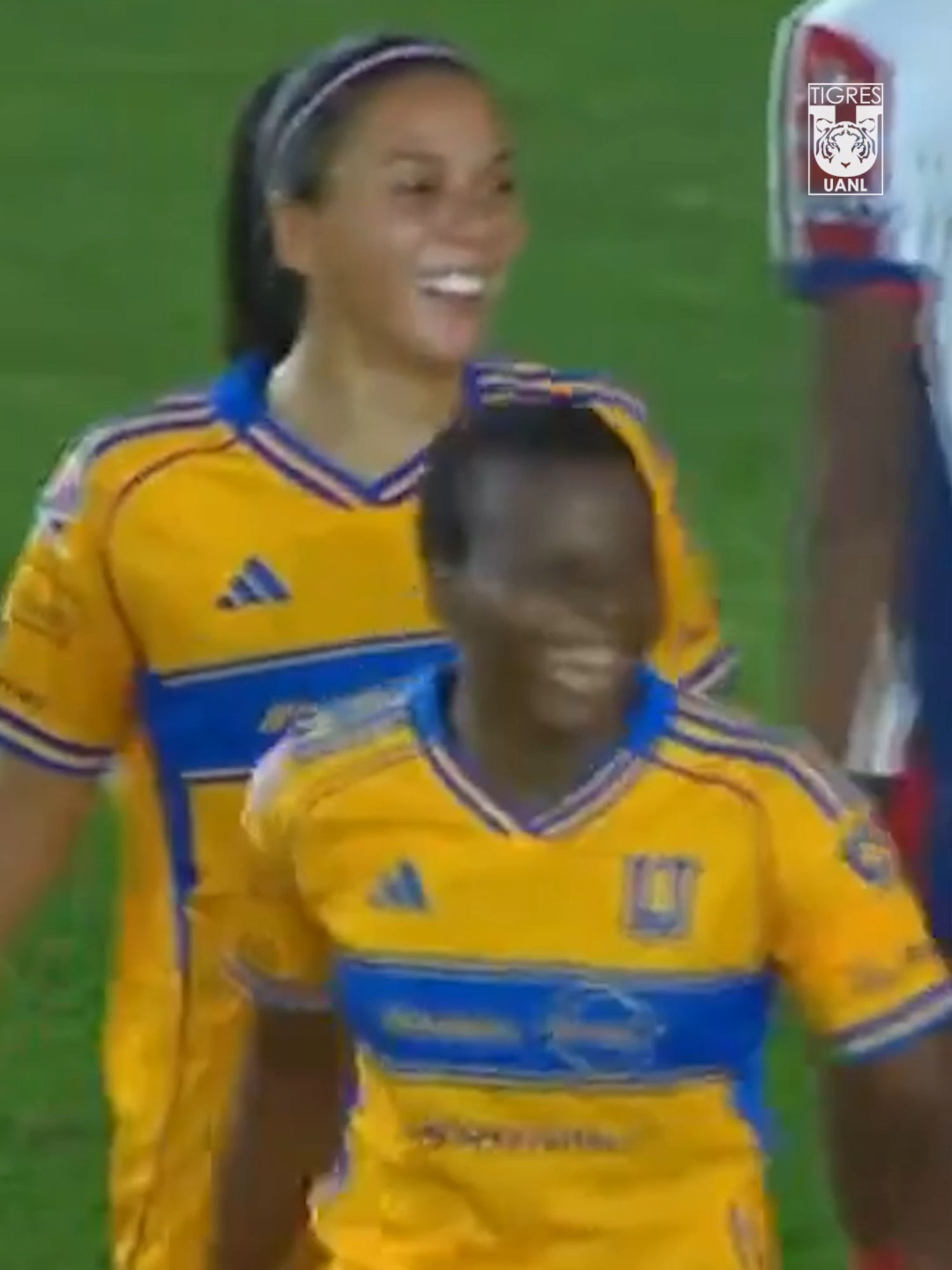 Video post by @clubtigresfemenil on TikTok