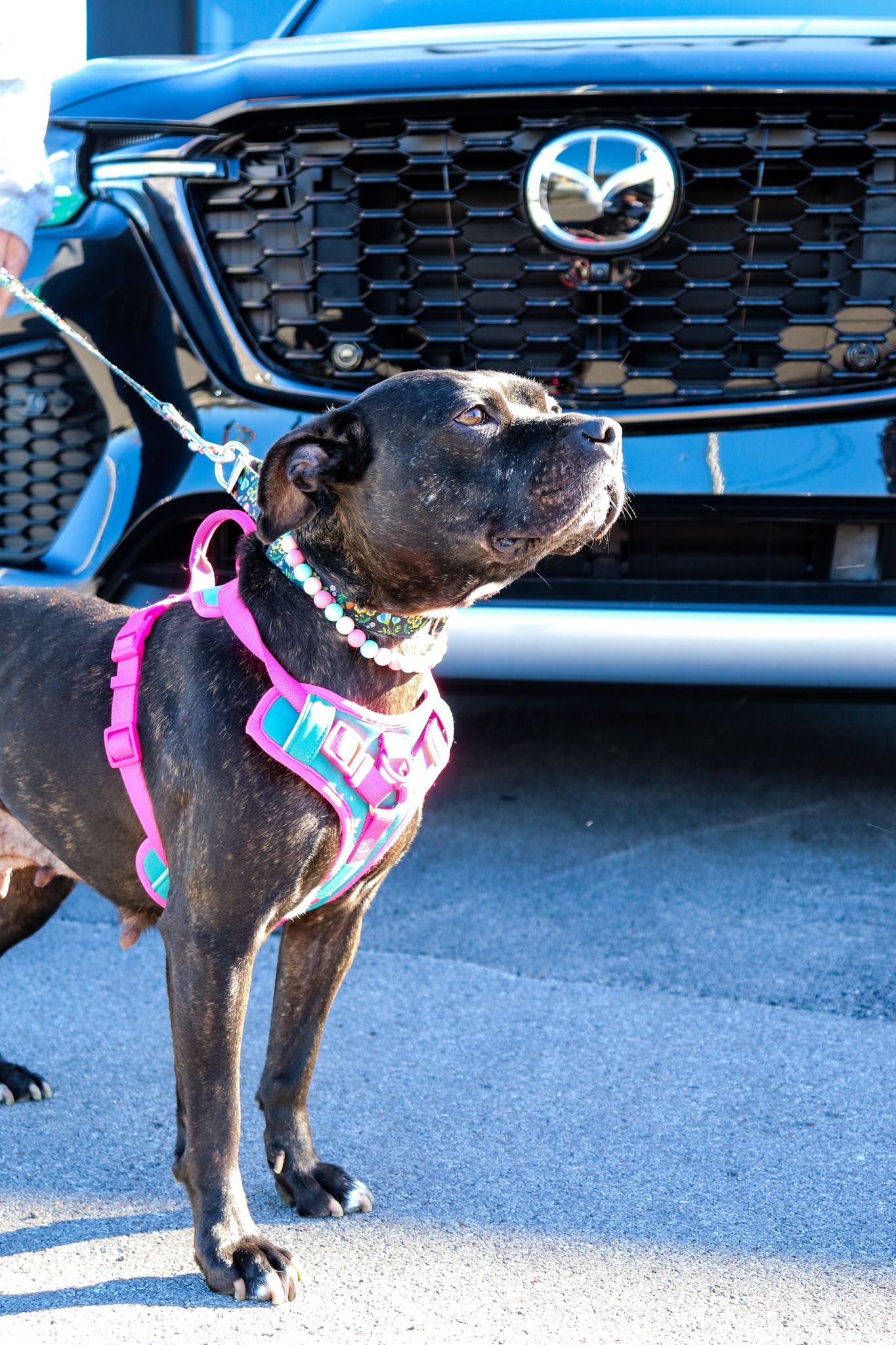 Video post by @PaulMillerMazda on Facebook