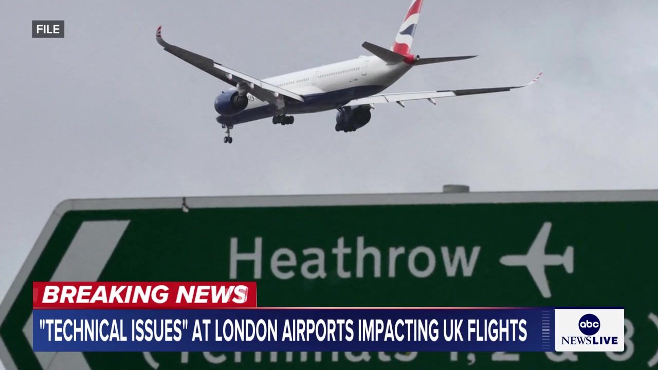 Video post by @abcnewslive on TikTok