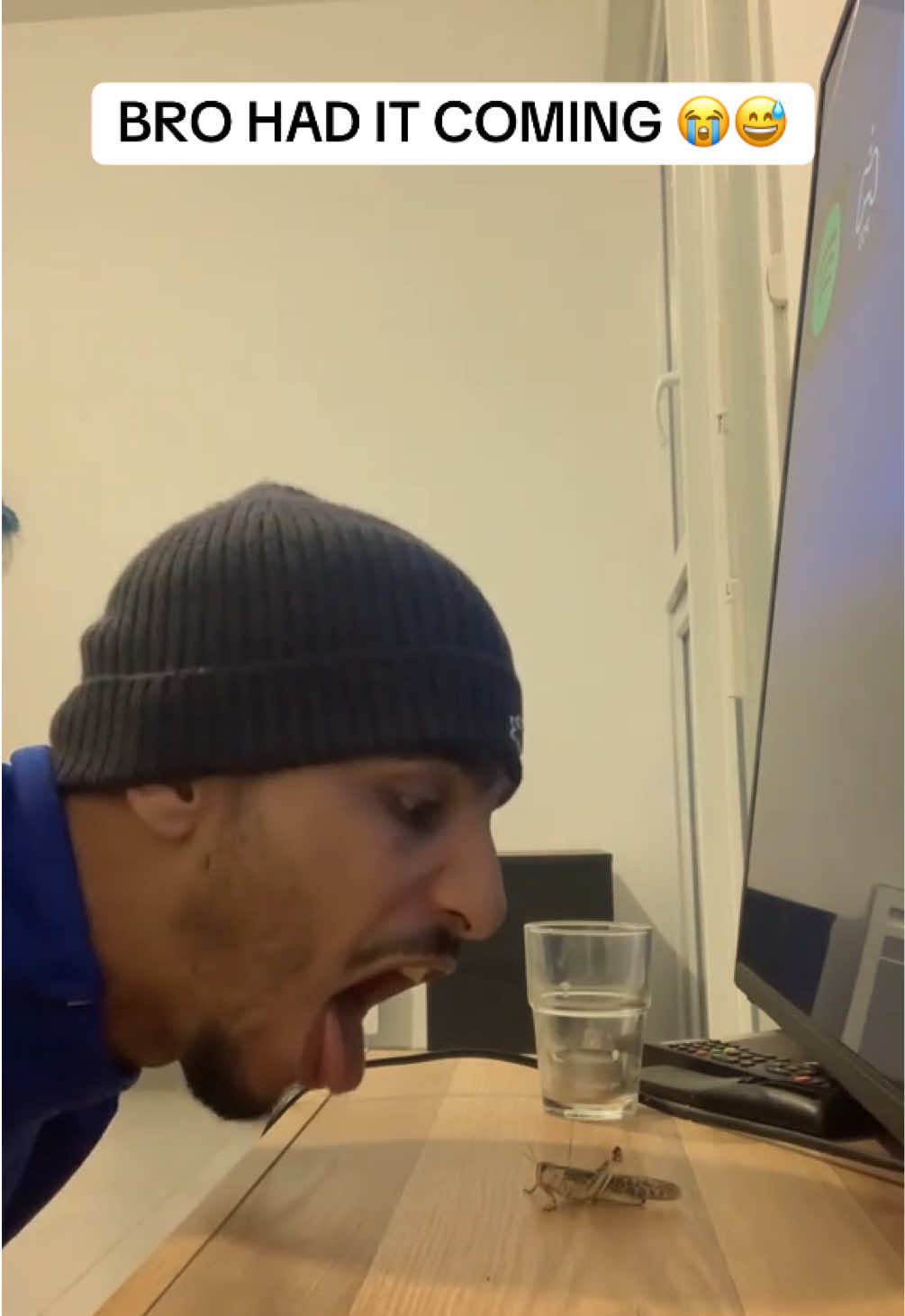 Video post by @houseofhighlights on TikTok