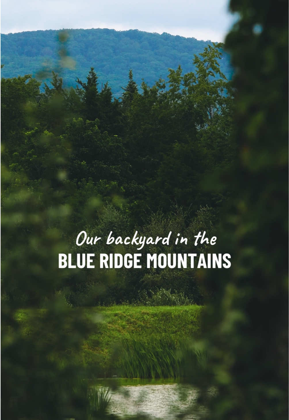 Video post by @chenrycreative on TikTok