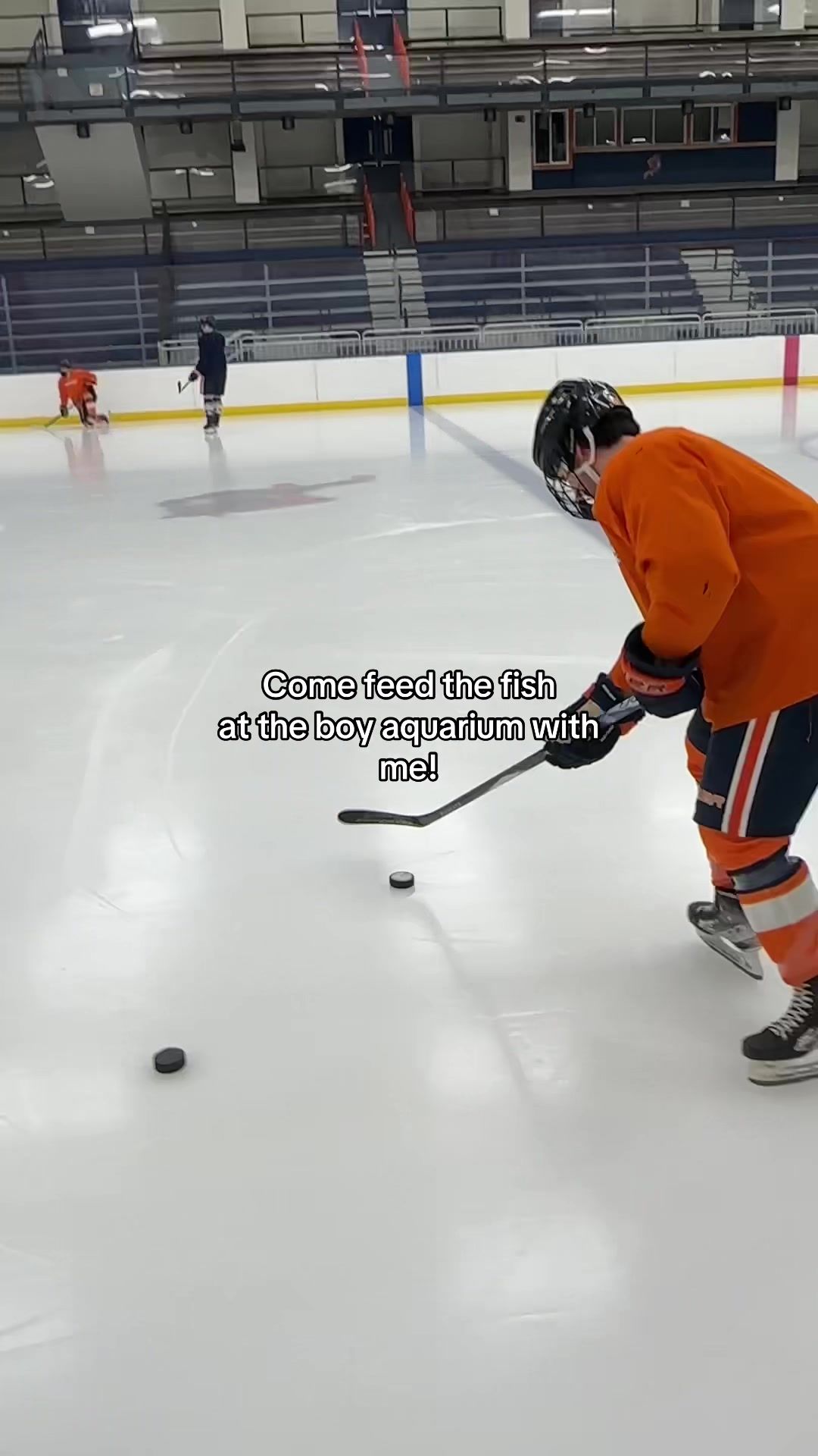 Video post by @ssu_vikings on TikTok