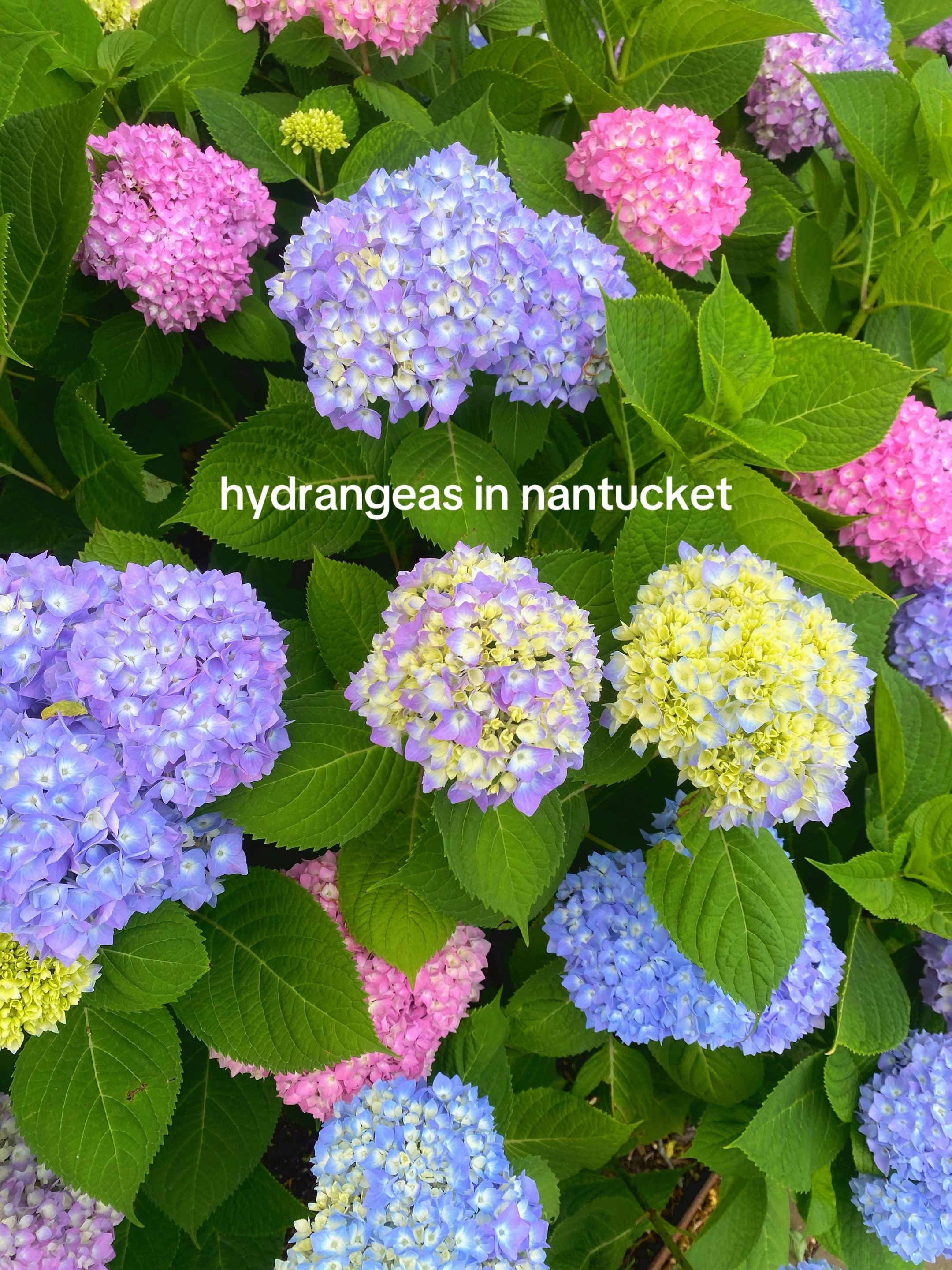 Video post by @perrywcosgrave on TikTok