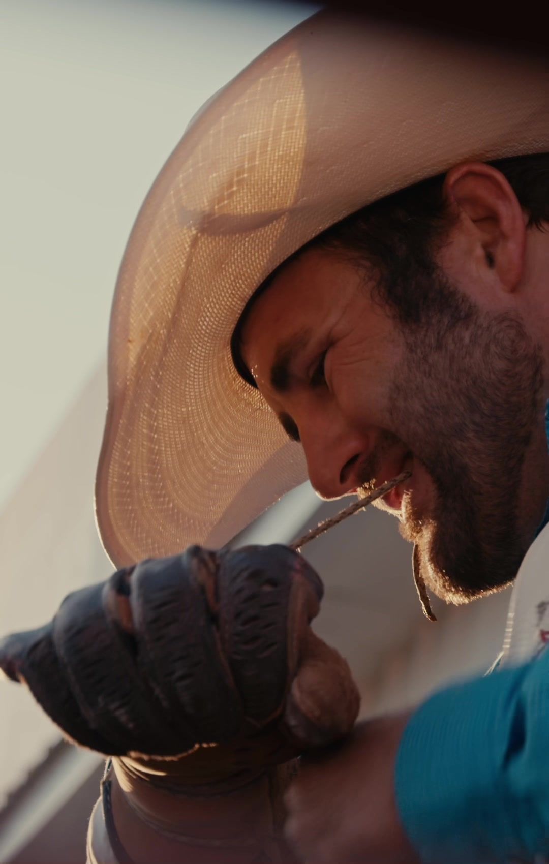 Video post by @wyatt_wentz on TikTok