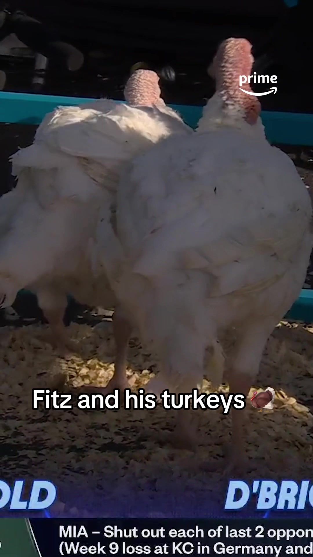 Video post by @nflonprime on TikTok