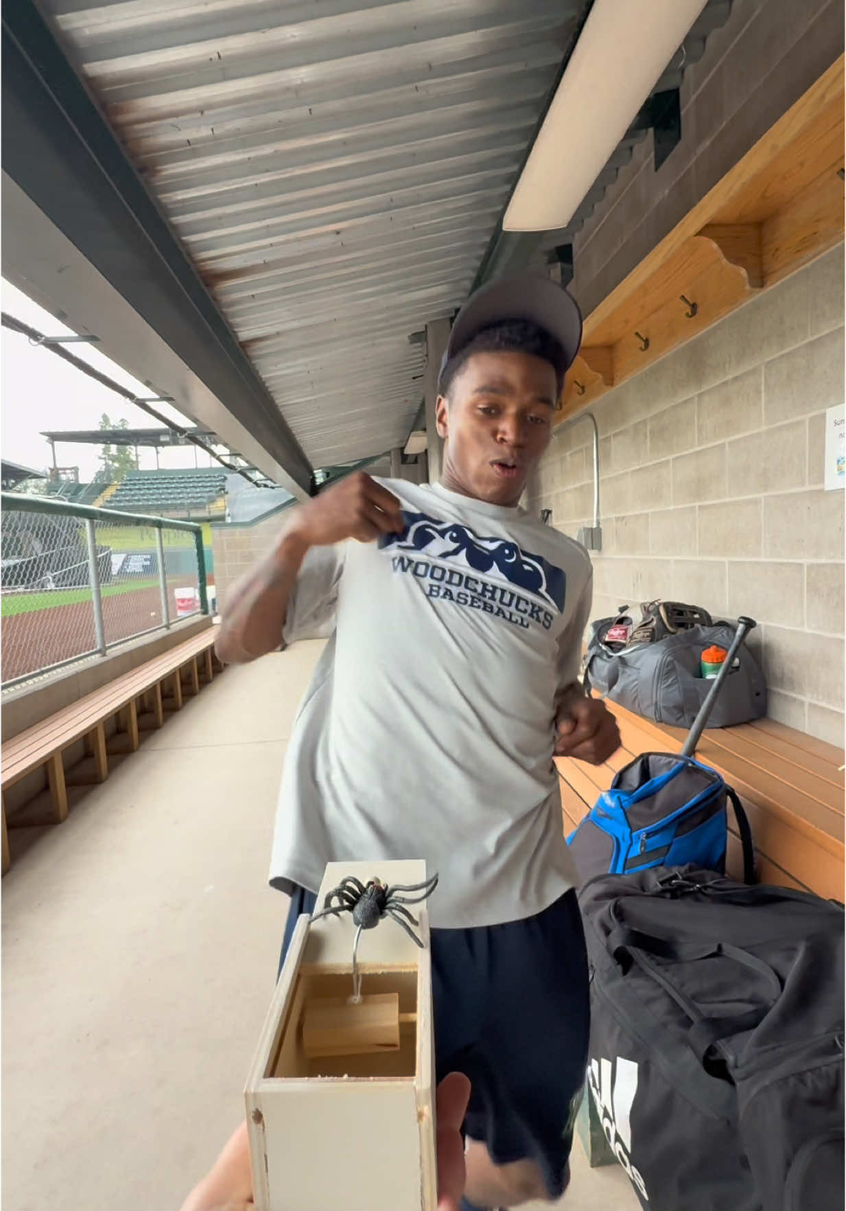 Video post by @woodchuckbaseball on TikTok