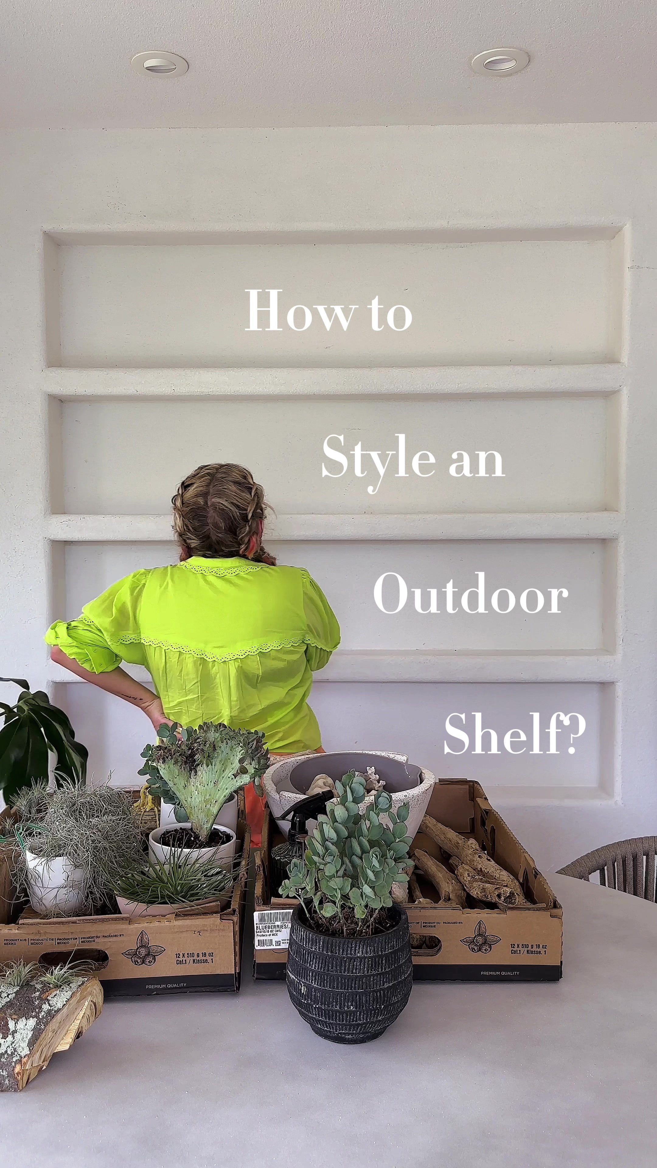 Video post by @mrkate on TikTok