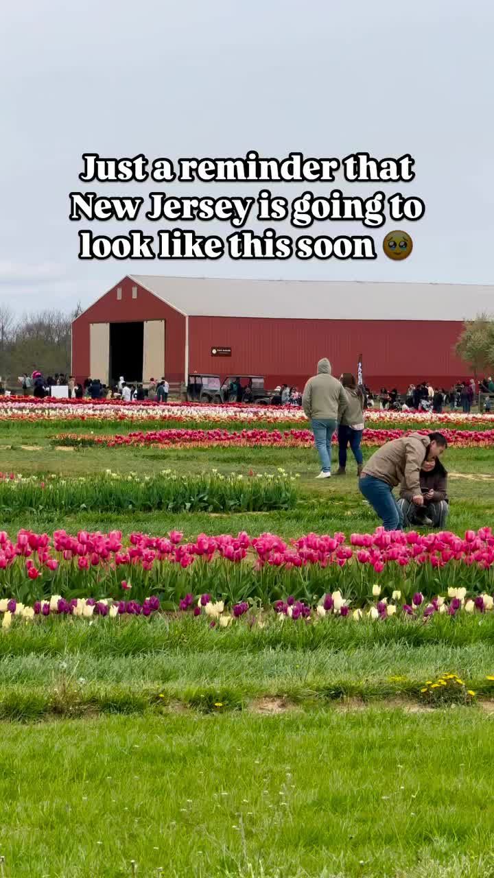 Video post by @gracefkim on TikTok