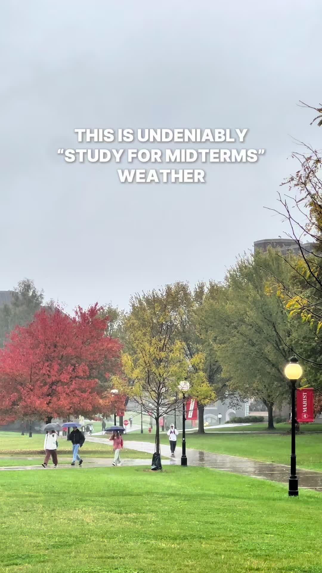 Video post by @marist on TikTok