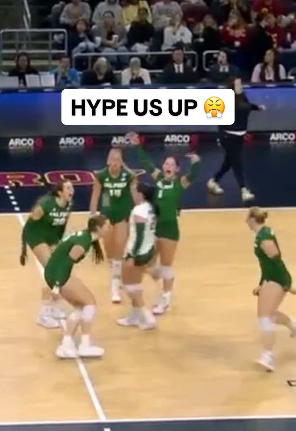 Video post by @ncaavolleyball on TikTok