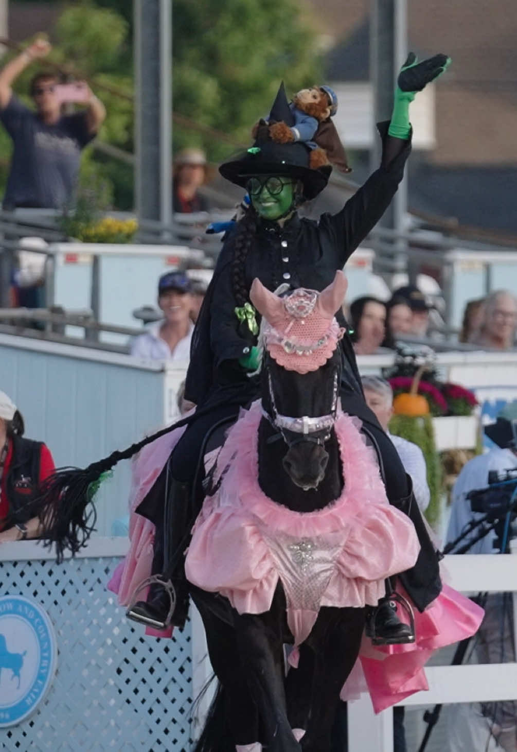 Video post by @usequestrian on TikTok