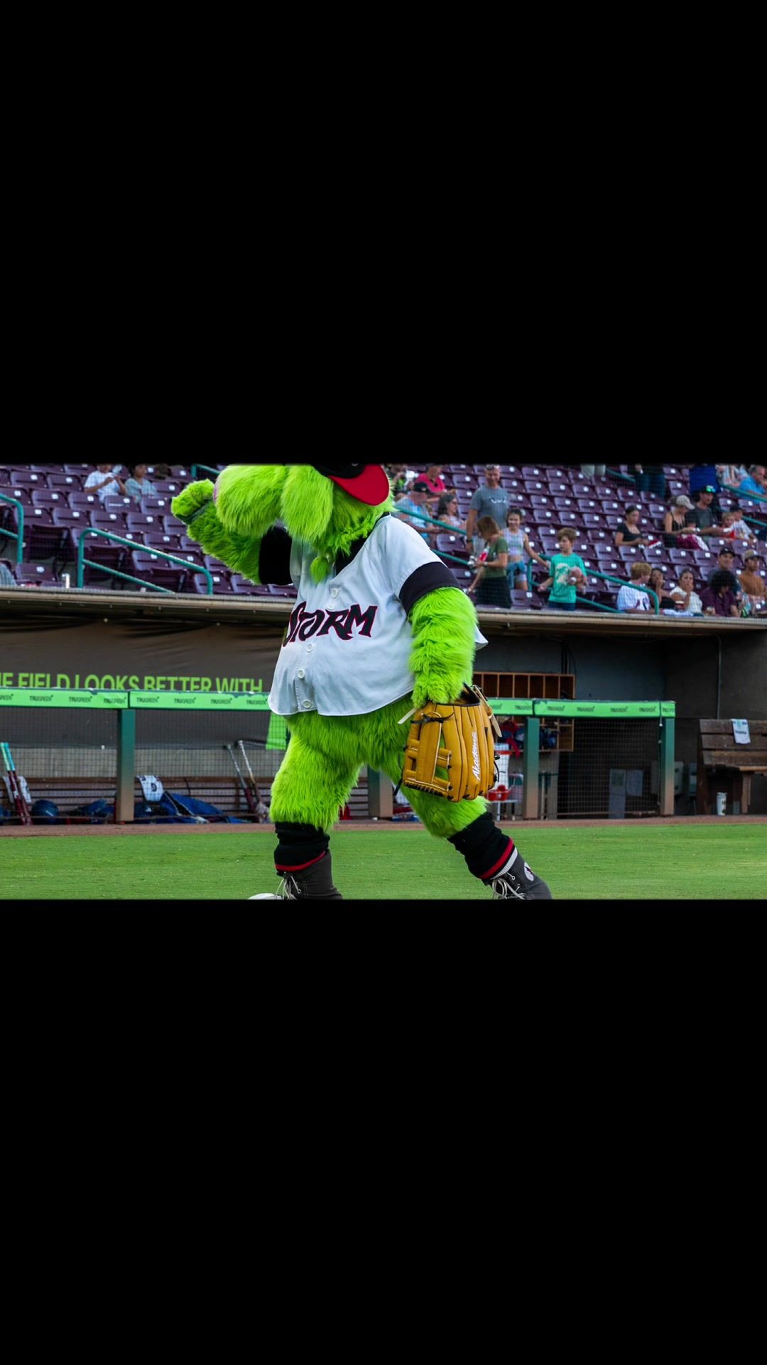 Video post by @chelsearhane on TikTok