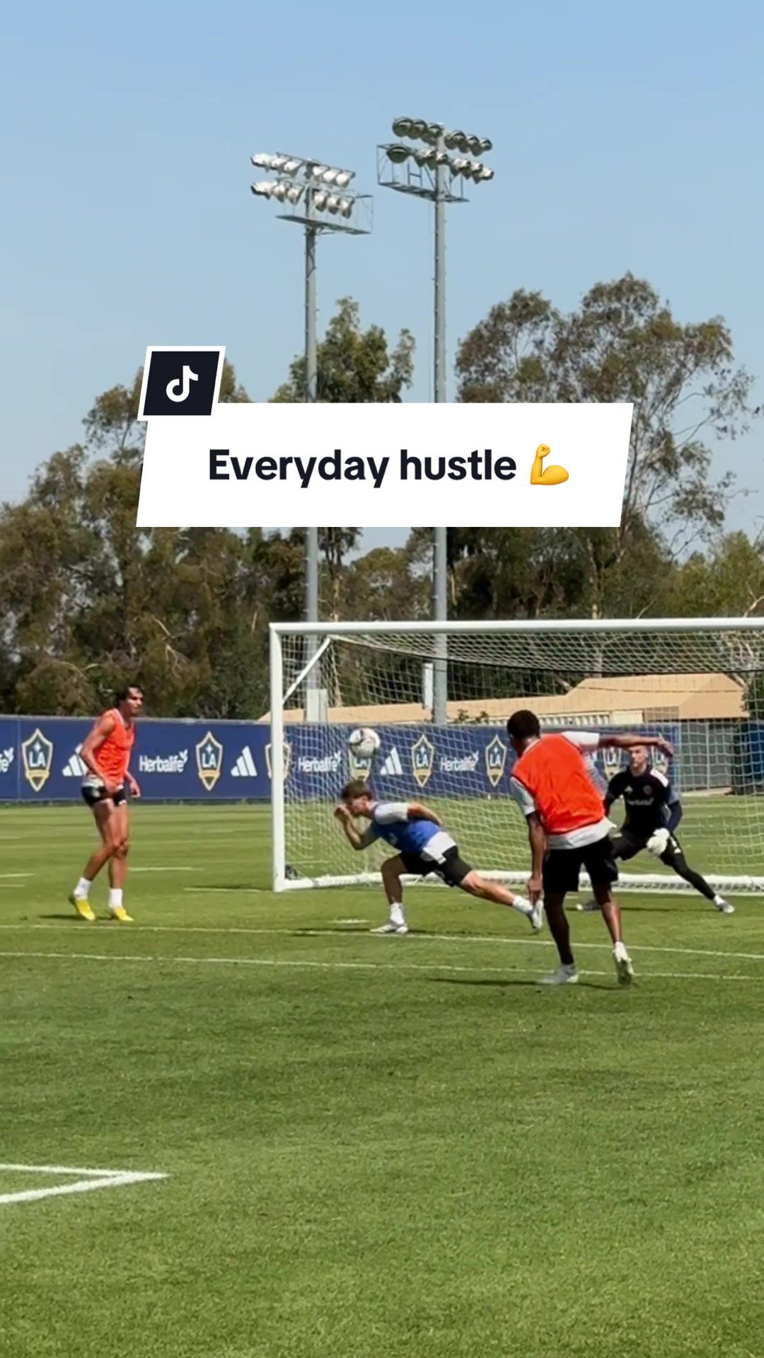 Video post by @lagalaxy on TikTok