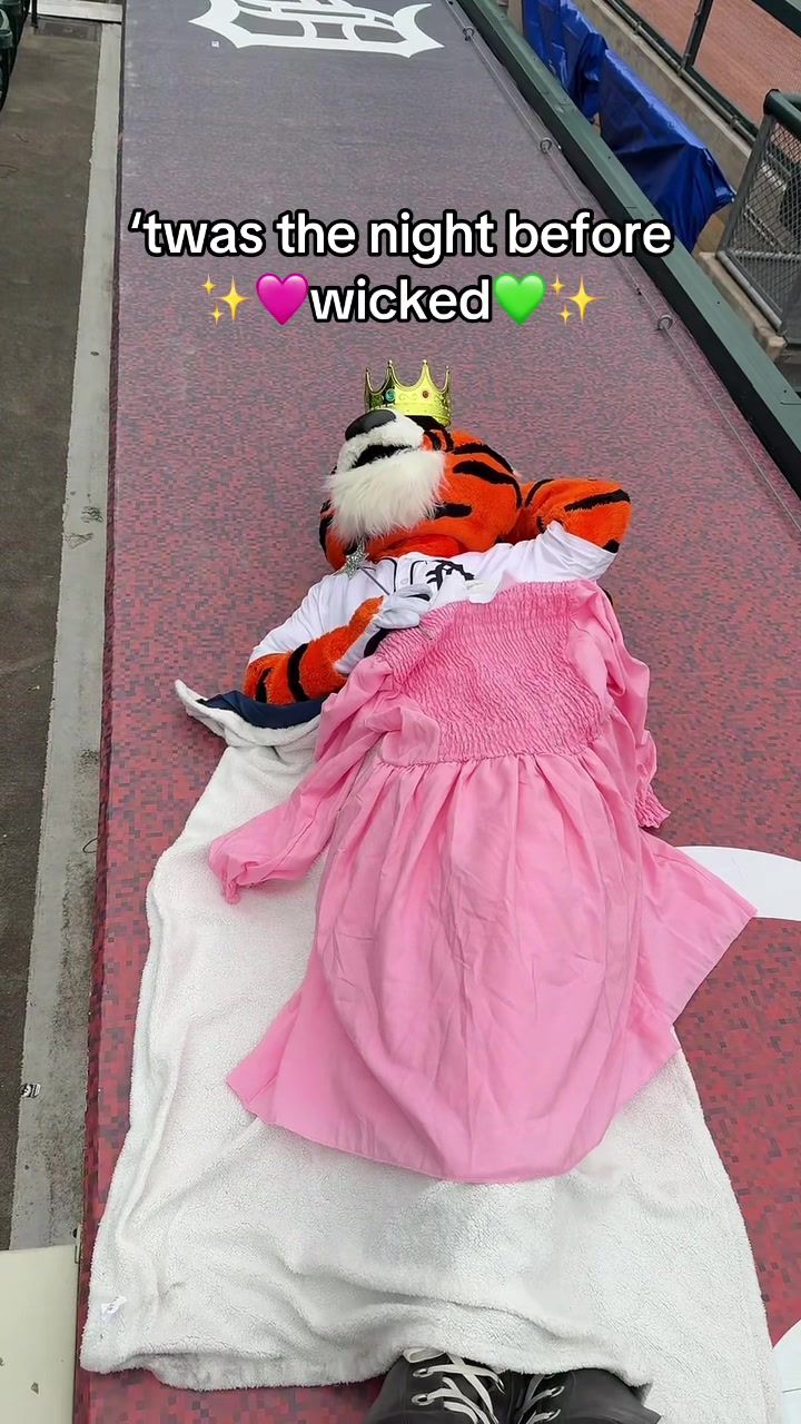 Video post by @tigers on TikTok