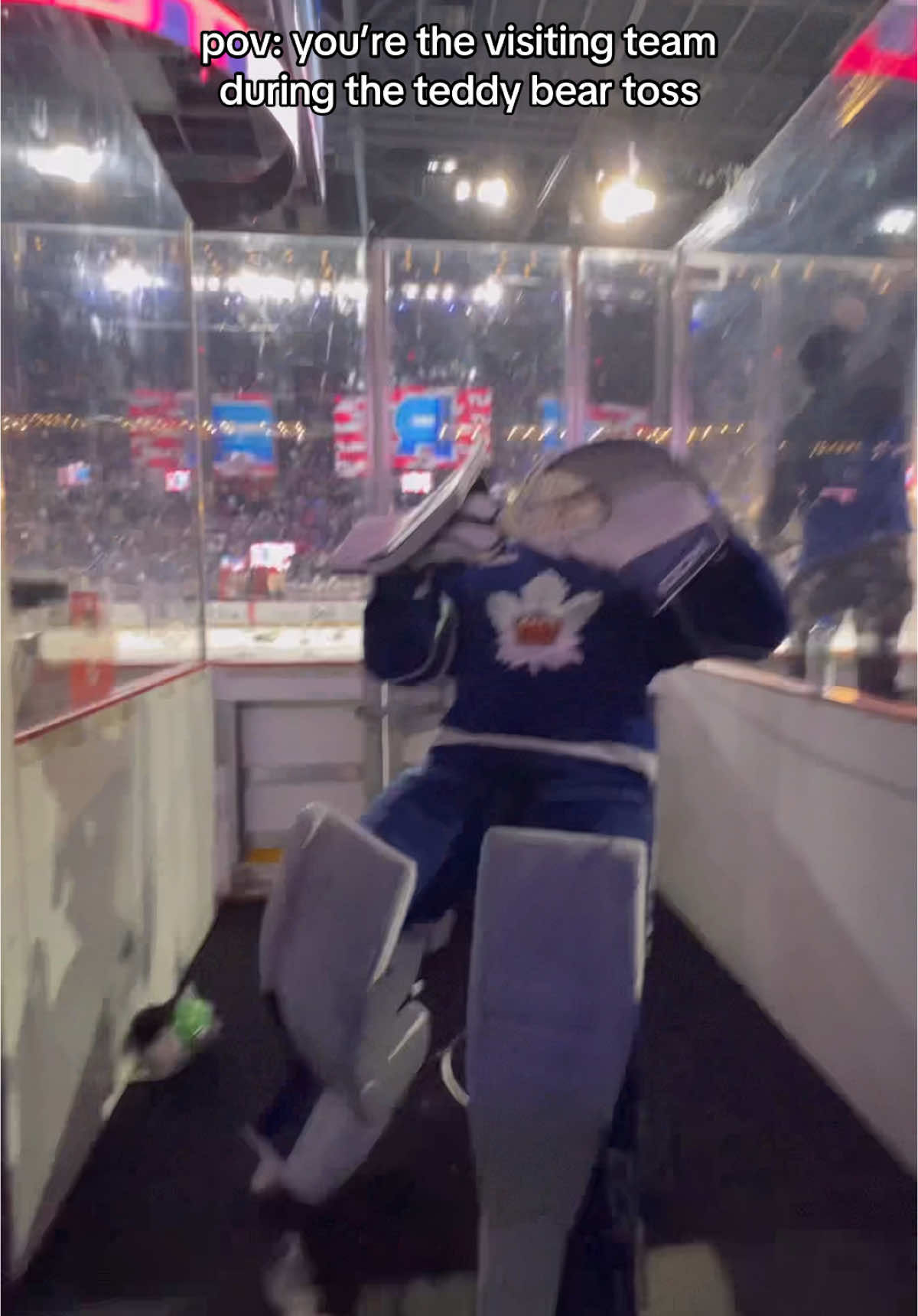 Video post by @torontomarlies on TikTok