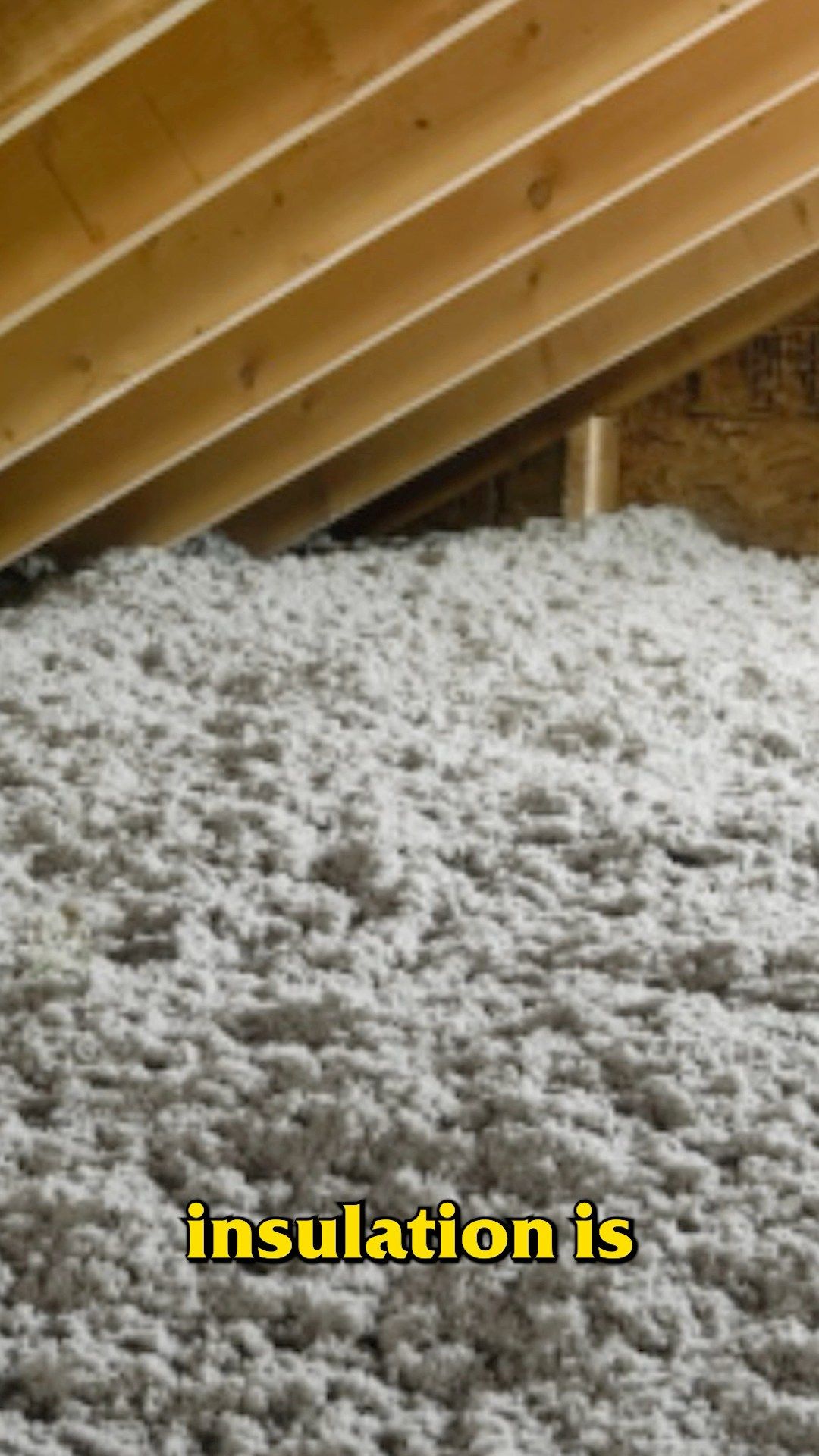 Video post by @bugbustersusa on Facebook