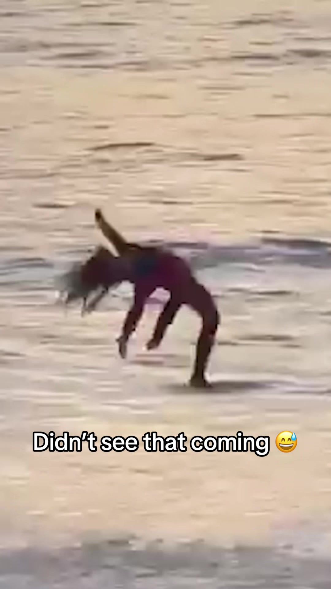 Video post by @espn on TikTok