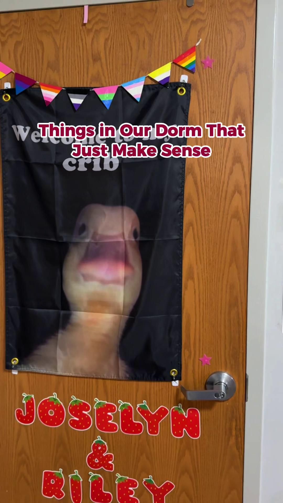 Video post by @arcadiauniversity on TikTok