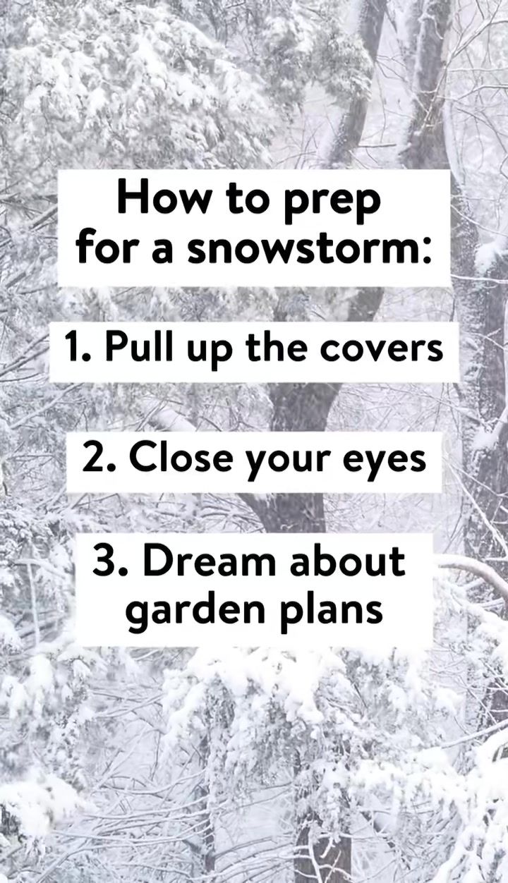 Video post by @BurpeeGardening on Facebook