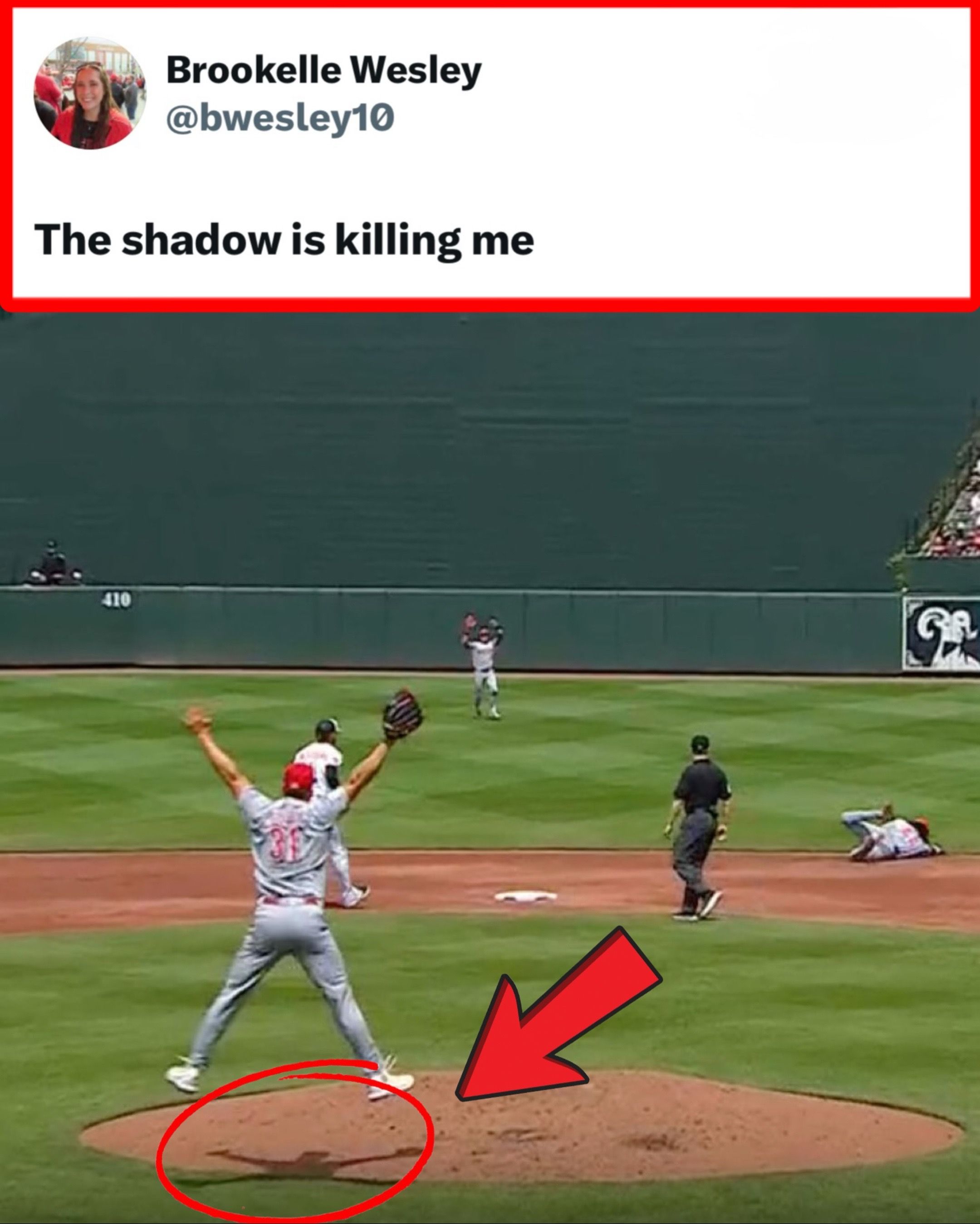 Video post by @whistle on TikTok