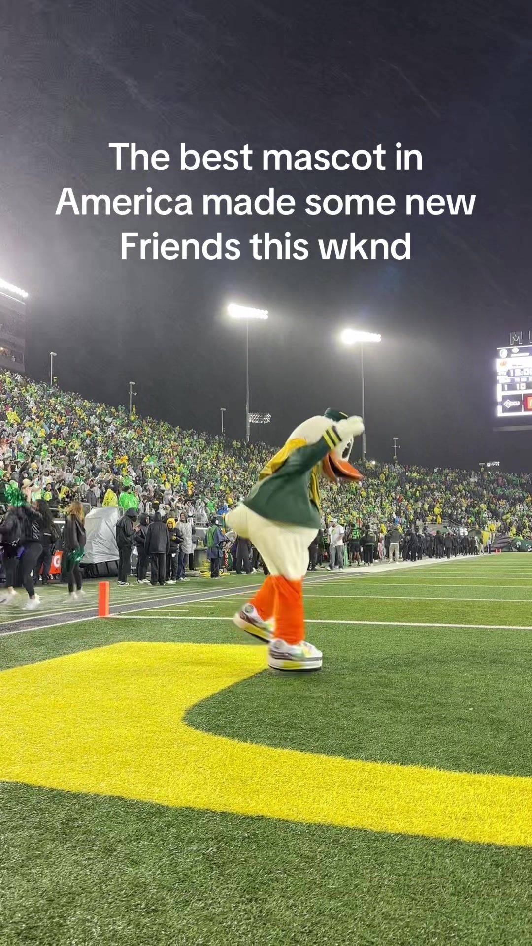 Video post by @archiv.er on TikTok