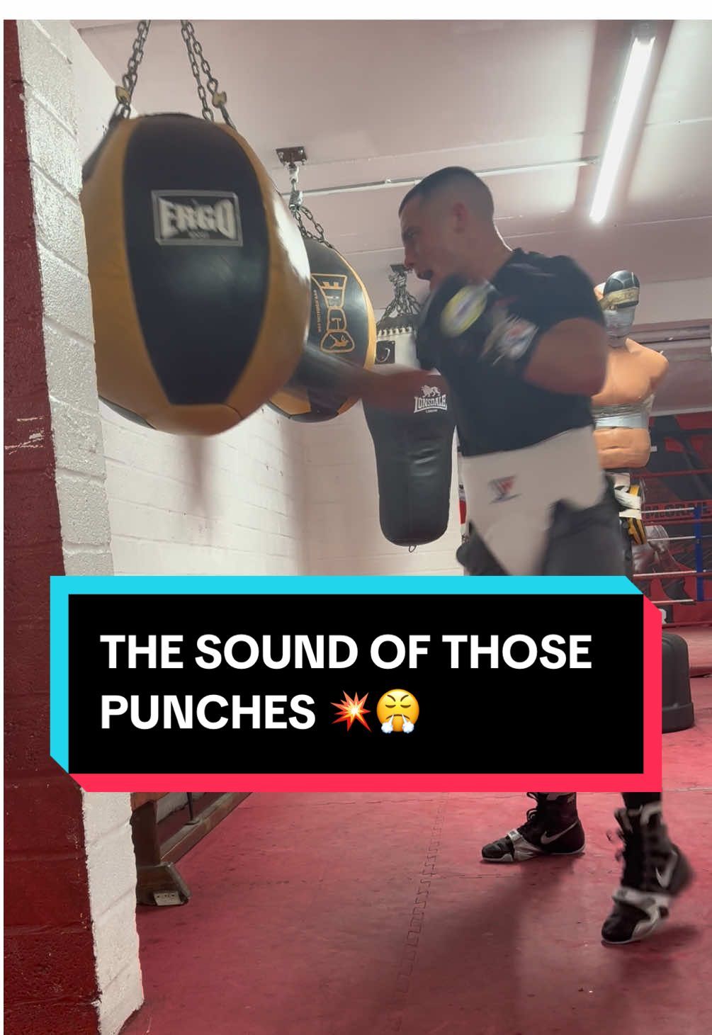 Video post by @tntsports on TikTok