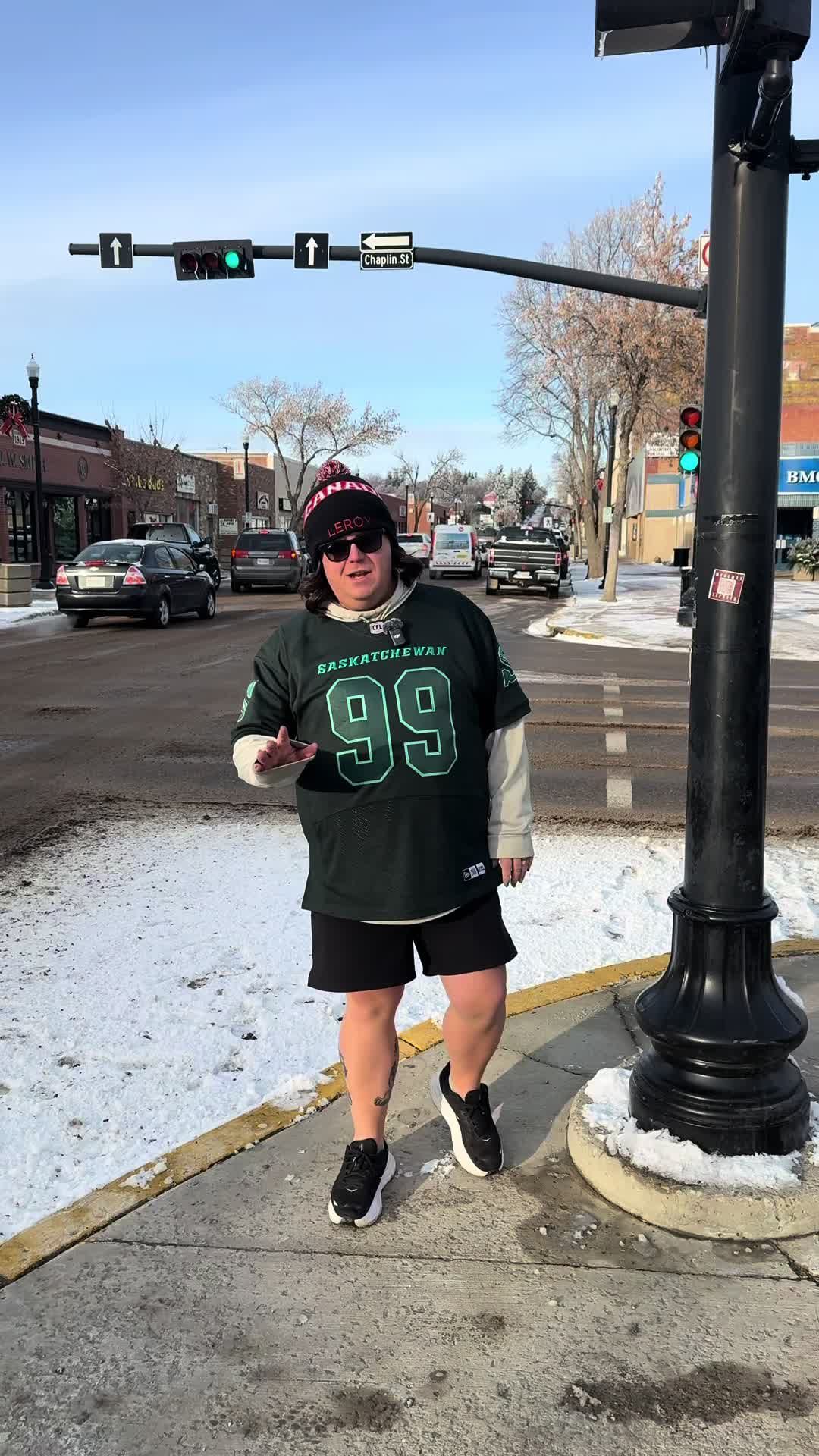 Video post by @leroyandleroy on TikTok