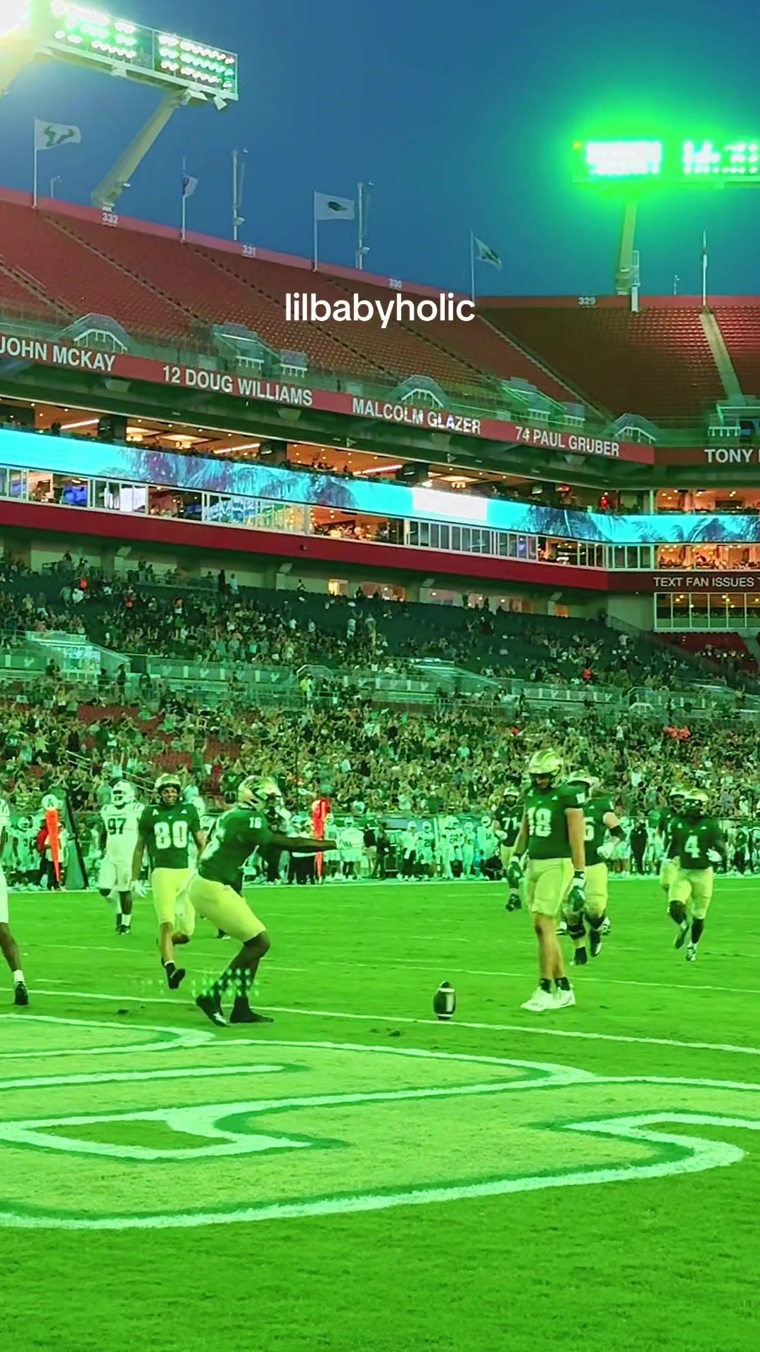 Video post by @sofieaspegren on TikTok