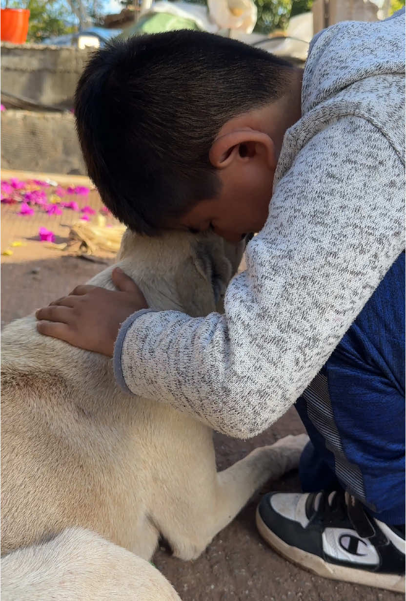 Video post by @_shotbyjohnny_ on TikTok