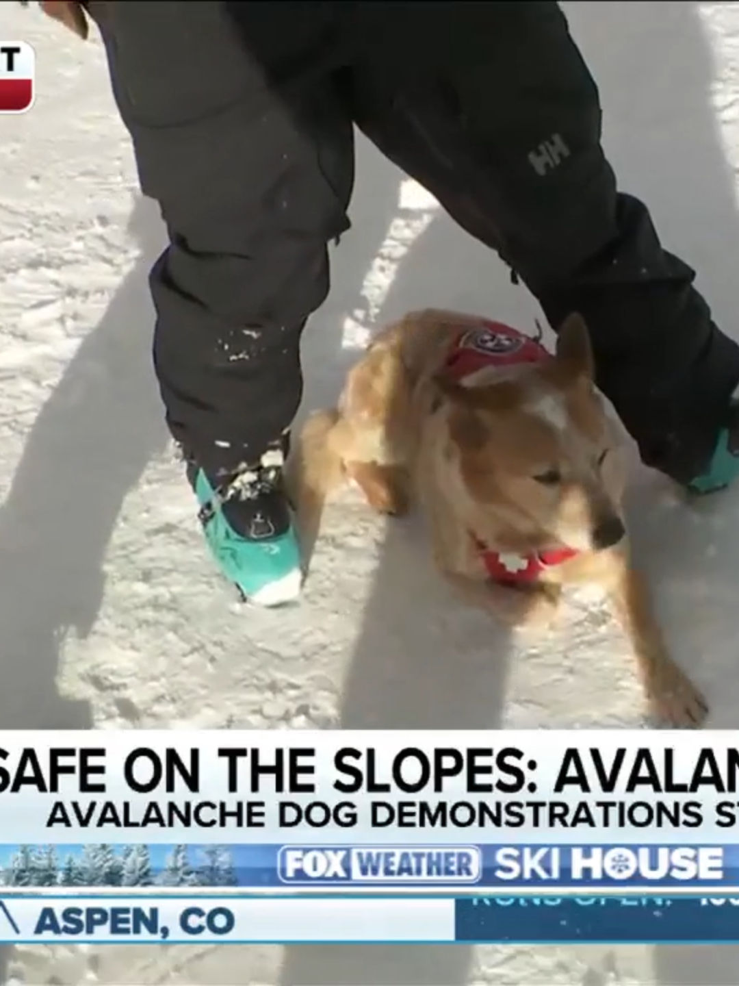 Video post by @foxweather on TikTok