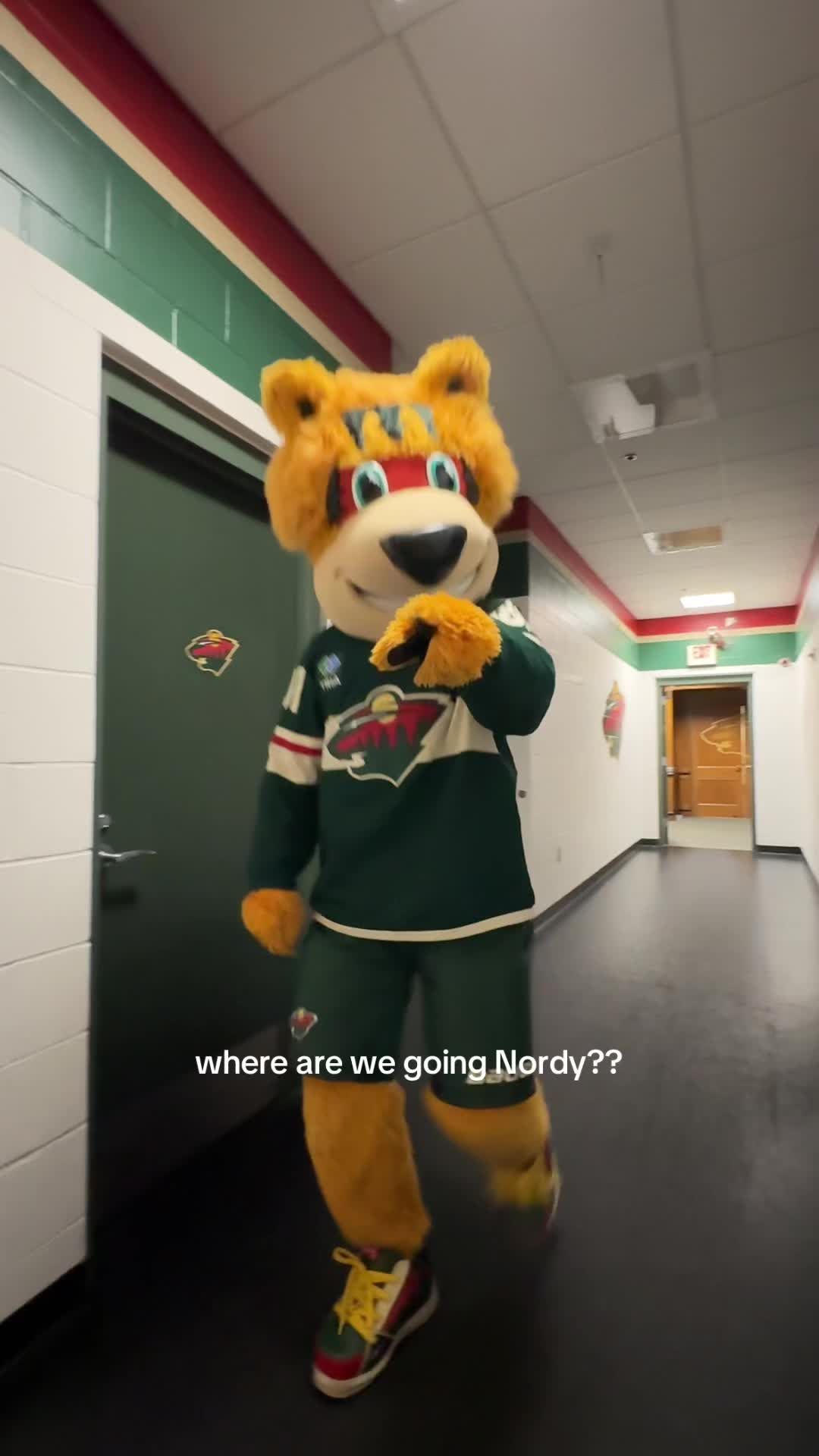 Video post by @mnwild on TikTok