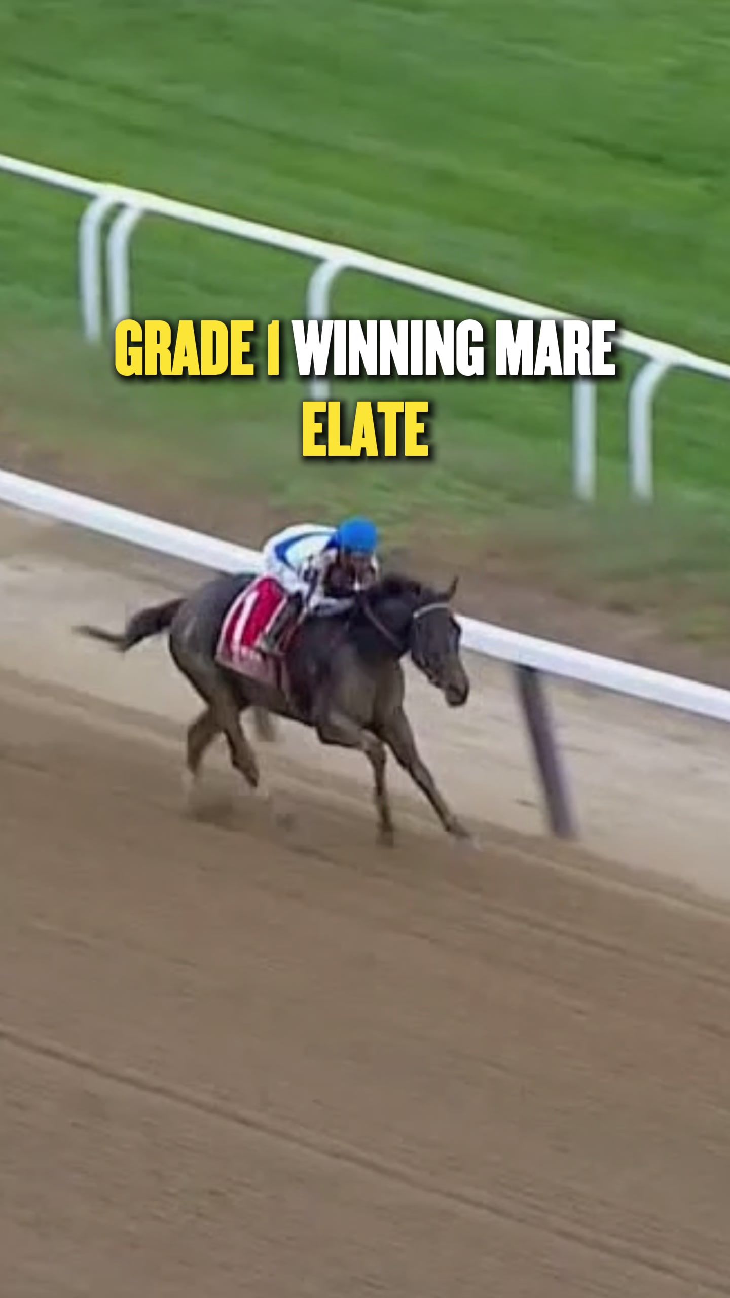 Video post by @fanduelracing on TikTok