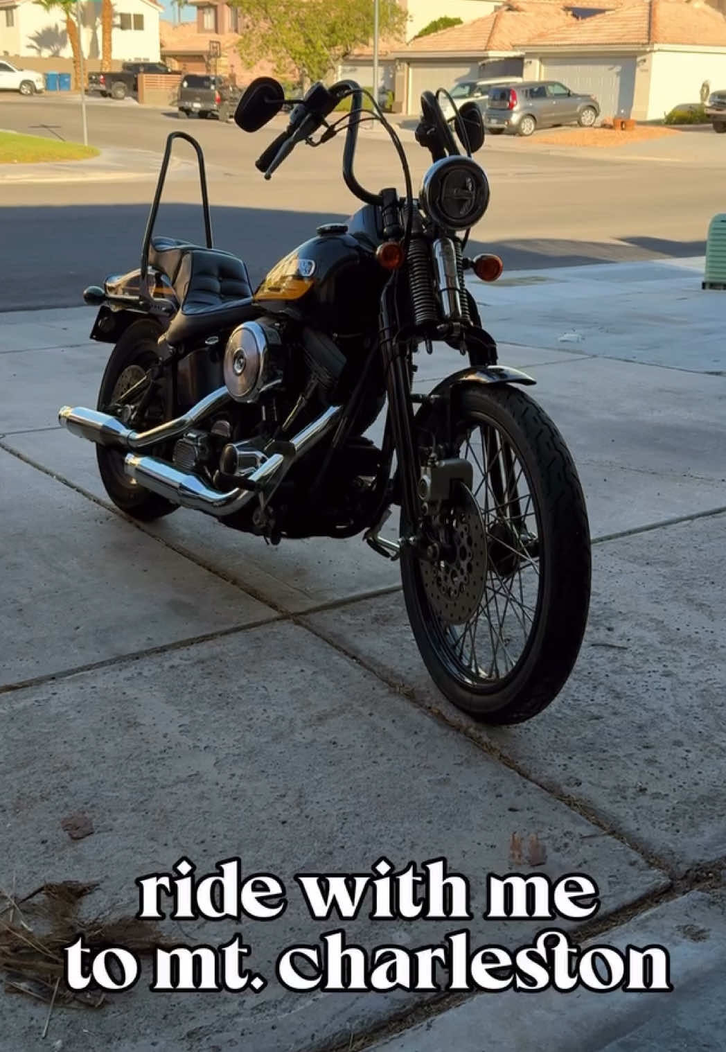 Video post by @ladylassen on TikTok