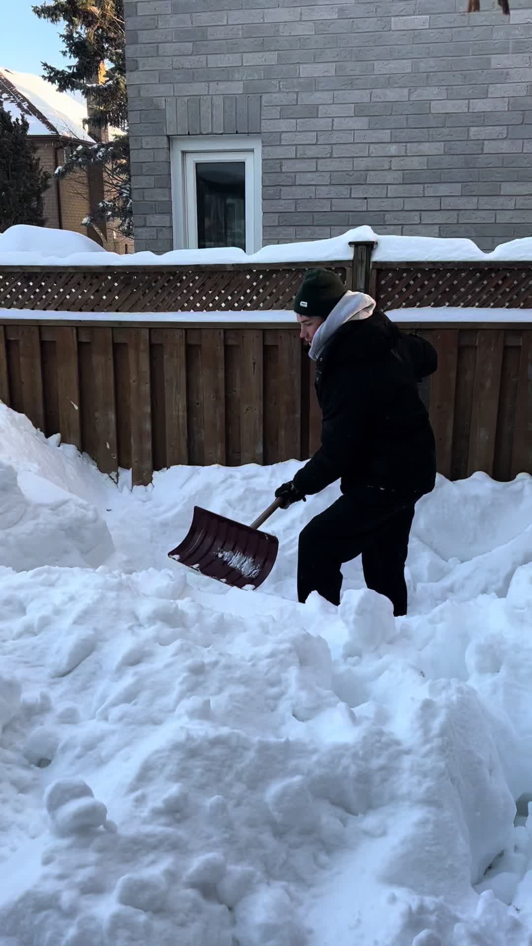 Video post by @thegistsports on TikTok